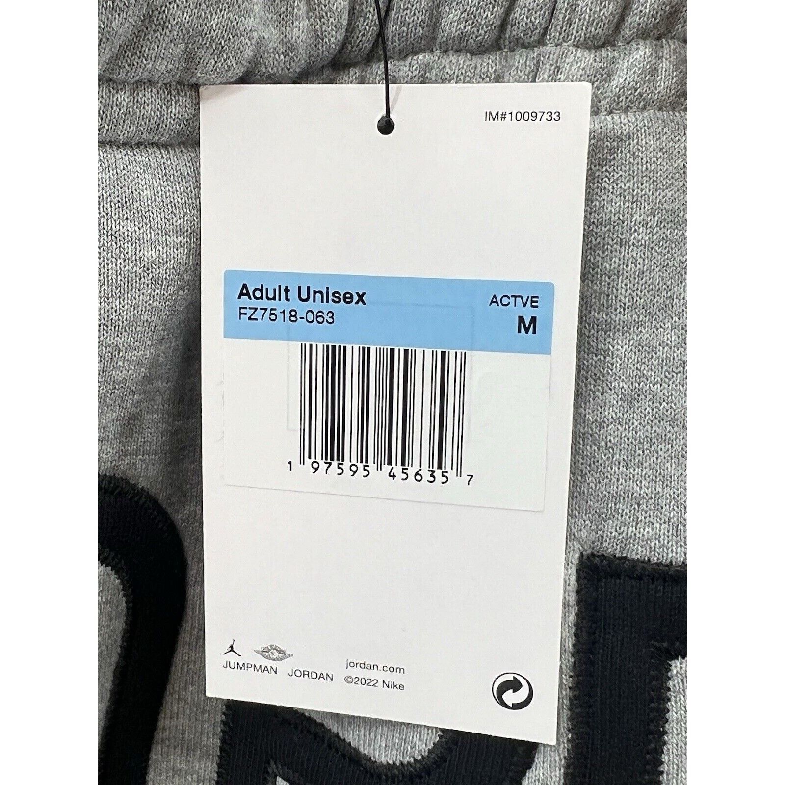 Jordan Brand Jordan x Nina Chanel Abney Gray Fleece Sweatpants FZ7518-063 Size US 34 / EU 50 - 4 Thumbnail