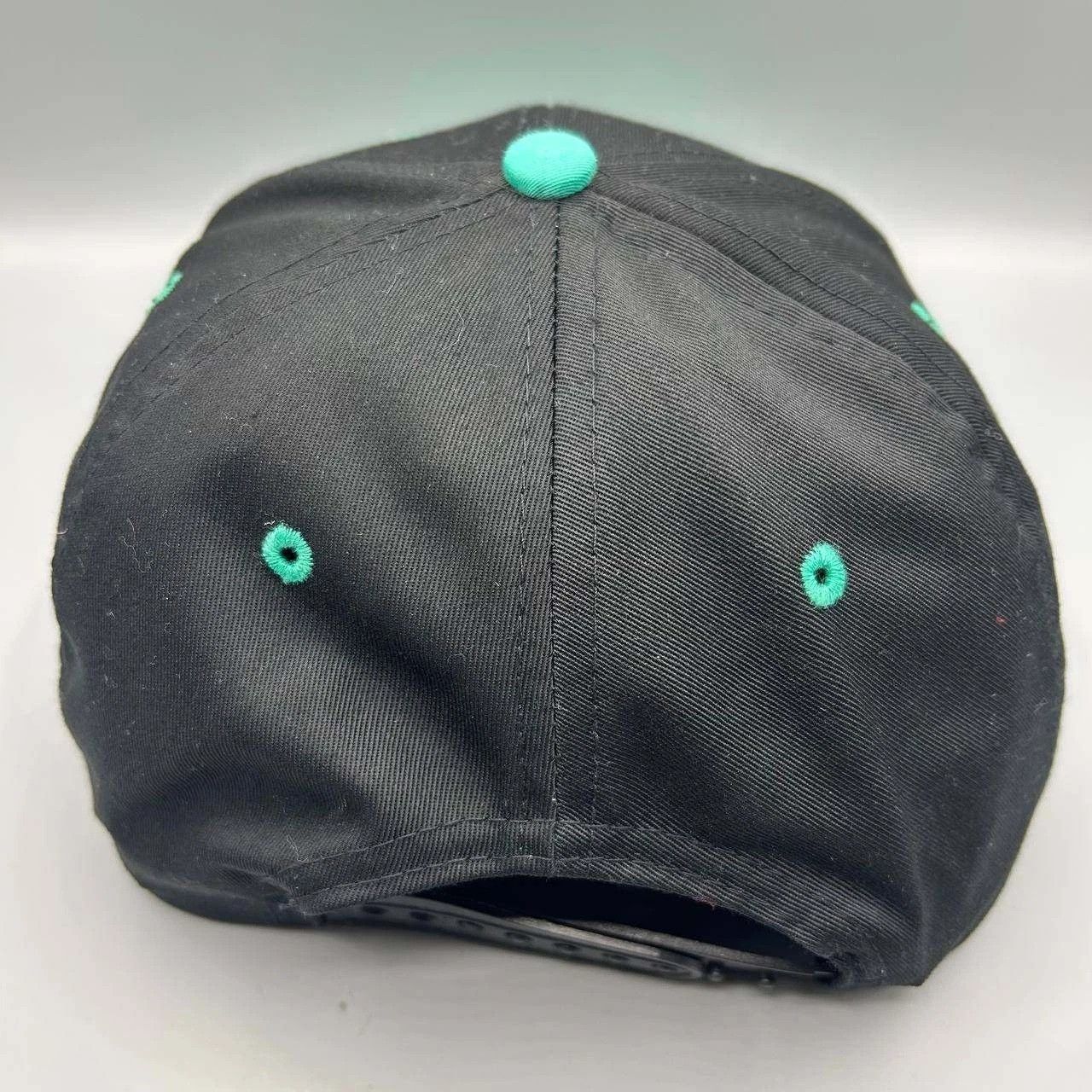 Other Minor League Baseball Embroidered Cameron Sports Snap Back Size ONE SIZE - 8 Thumbnail