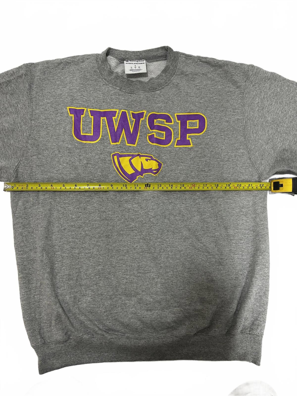 Champion Champion UWSP Grey Sweatshirt Large Size US L / EU 52-54 / 3 - 4 Thumbnail