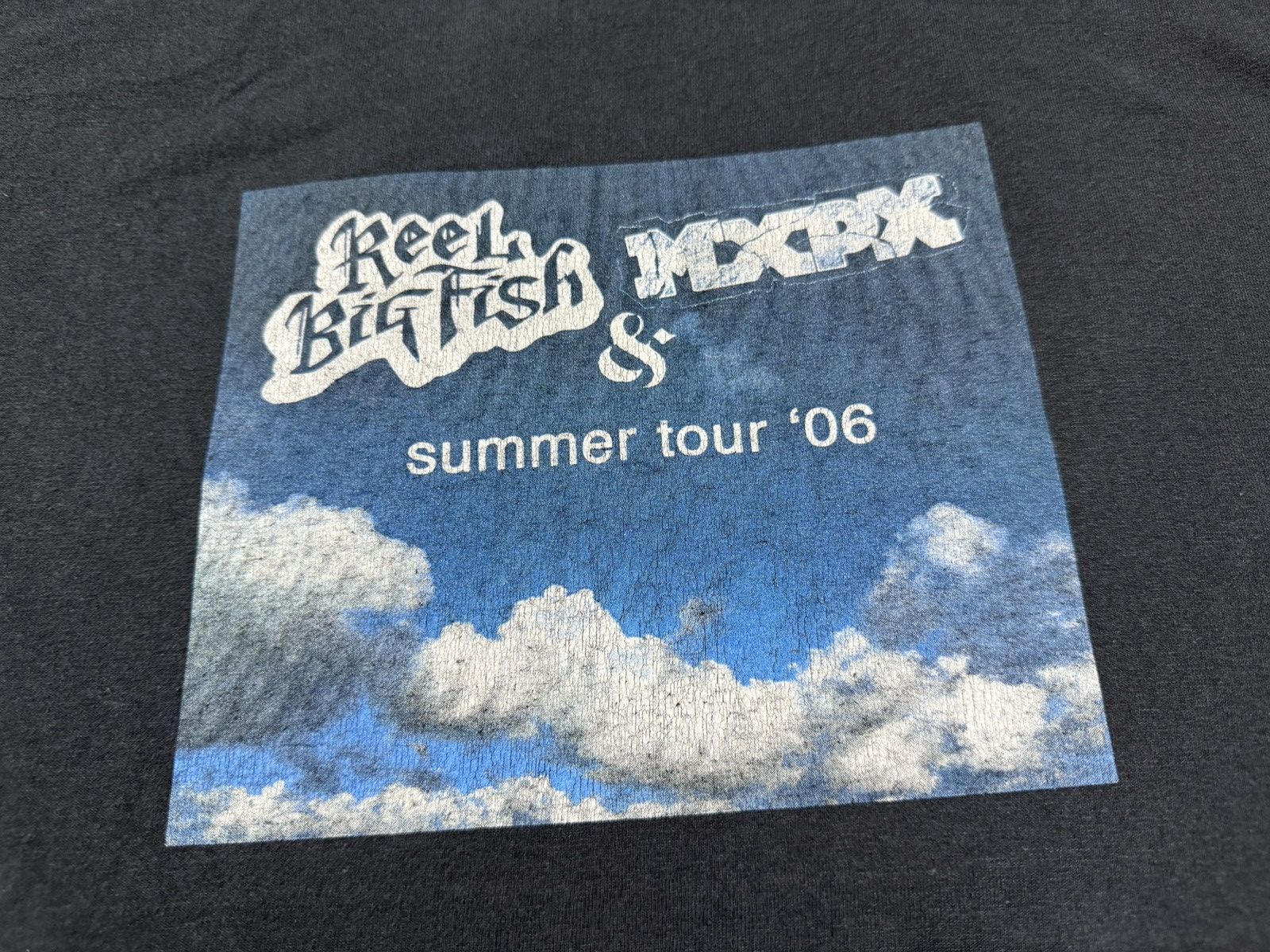 Band Tees × Vintage Vintage 2000s Reel Big Fish & MXPX Summer Tour 2006 T-Shirt Size US L / EU 52-54 / 3 - 4 Thumbnail