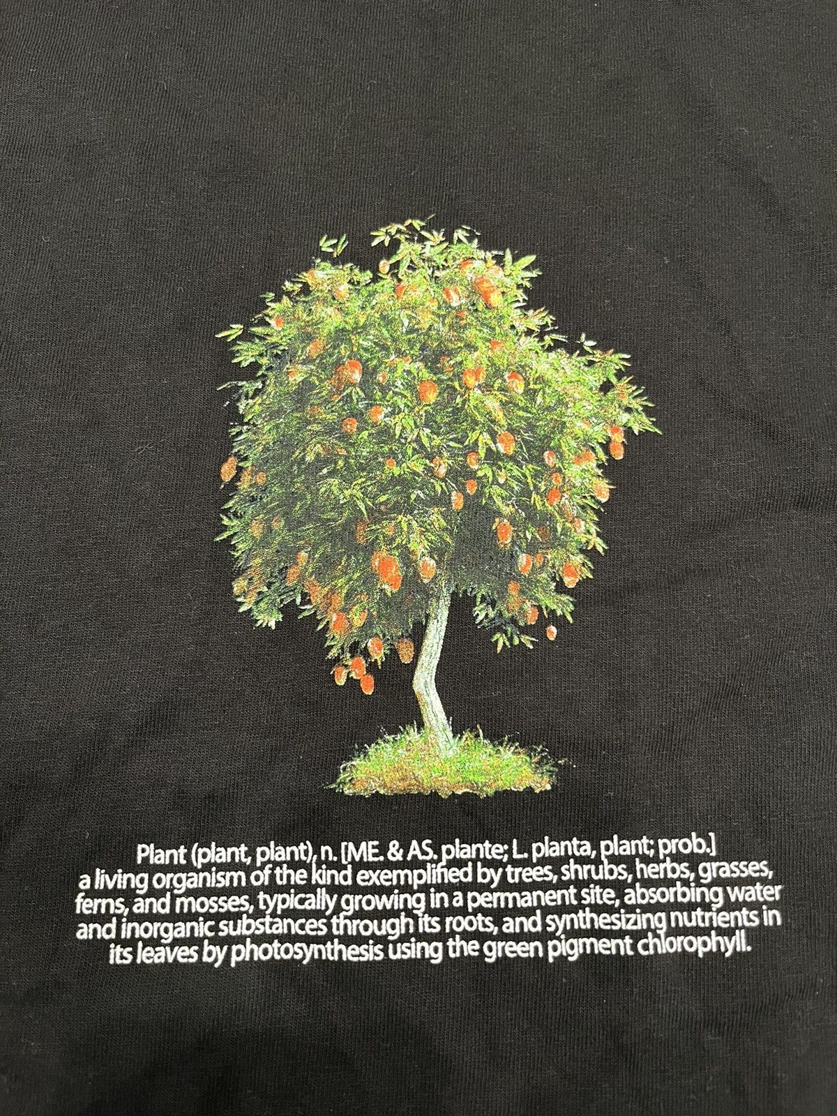Complex ComplexCon Aplasticplant A Plastic Plant Tree T Shirt 2022 Size US XL / EU 56 / 4 - 2 Thumbnail