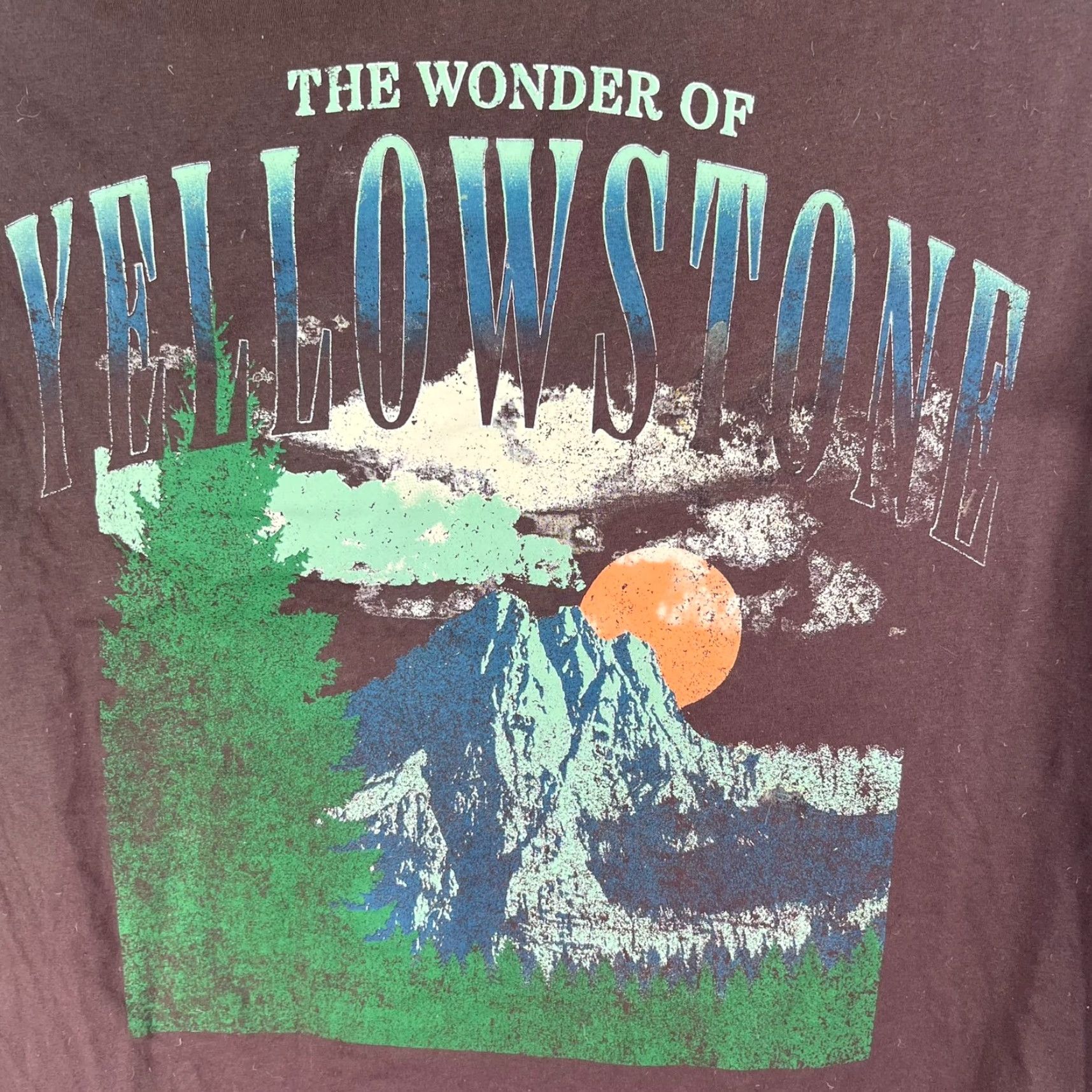 Vintage Goodfellow Yellowstone Wonder Of T-Shirt Mens 4XL Brown Logo Graphic Print Crew Neck Short Sleeve Regular Fit Cotton Blend Size US XXL / EU 58 / 5 - 2 Thumbnail