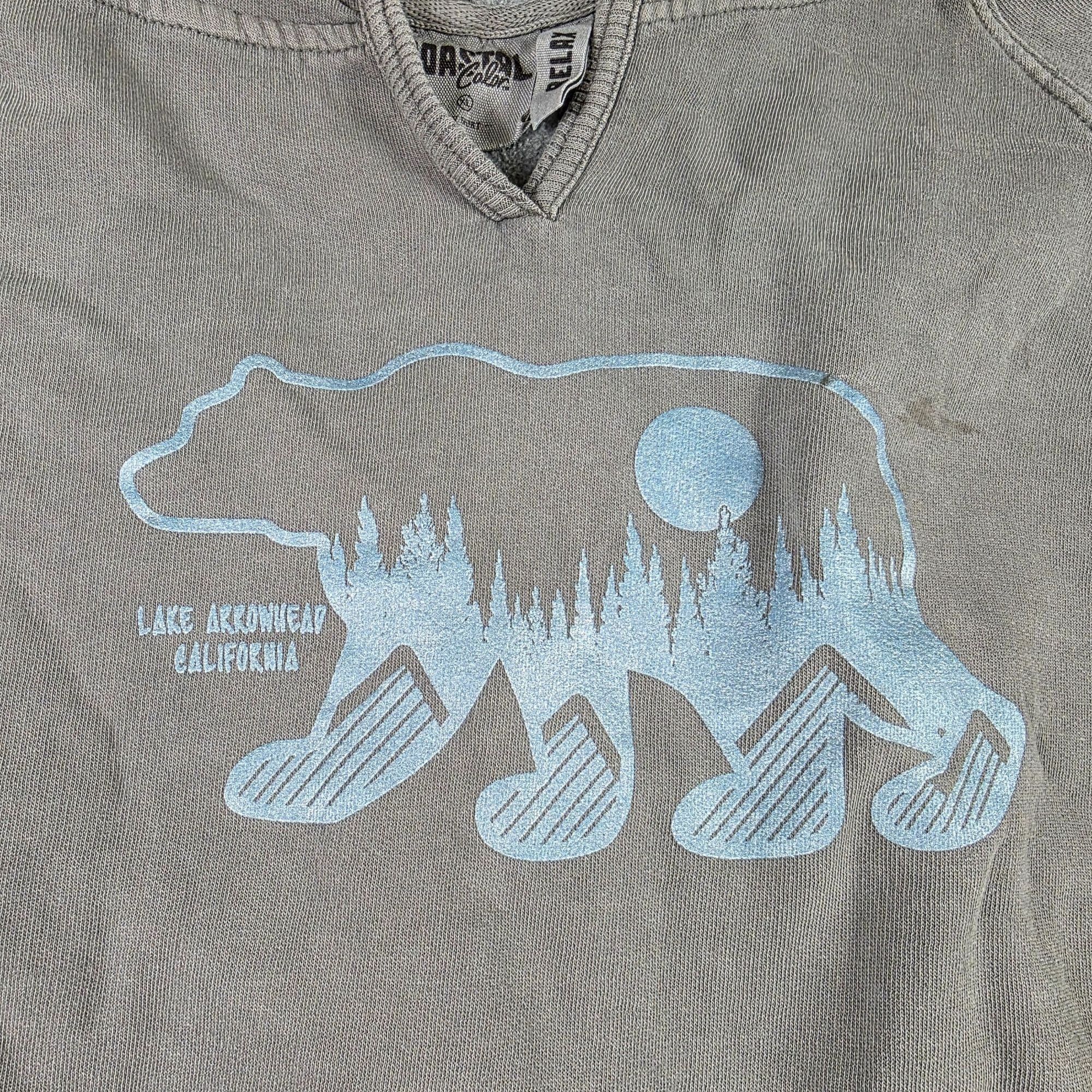 Other Coastal Color Relax Mens XL Gray Hoodie Bear Graphic Lake Ar Size US L / EU 52-54 / 3 - 4 Thumbnail