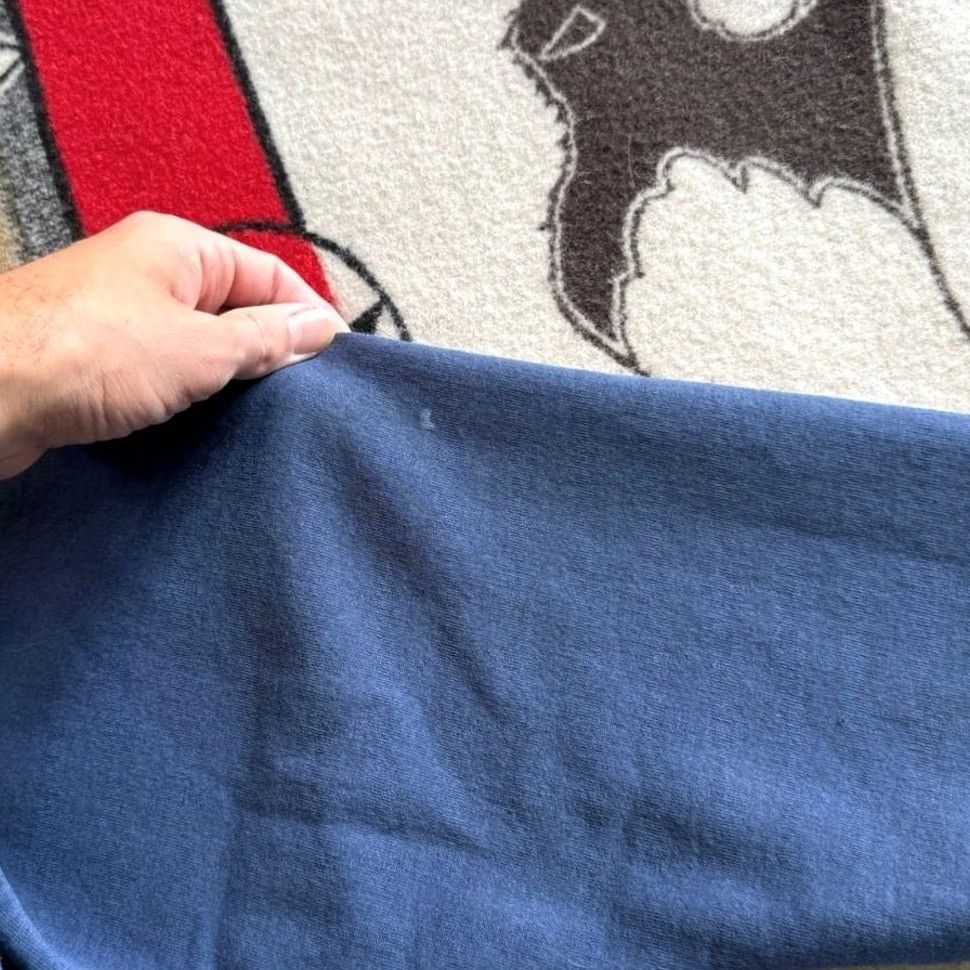 Hanes VINTAGE Hanes Hoodie Sweatshirt Large Medium Y2K 90s Skater Skate Blue Men Long Sleeve Pullover Grunge 90s Theme Size US L / EU 52-54 / 3 - 7 Thumbnail