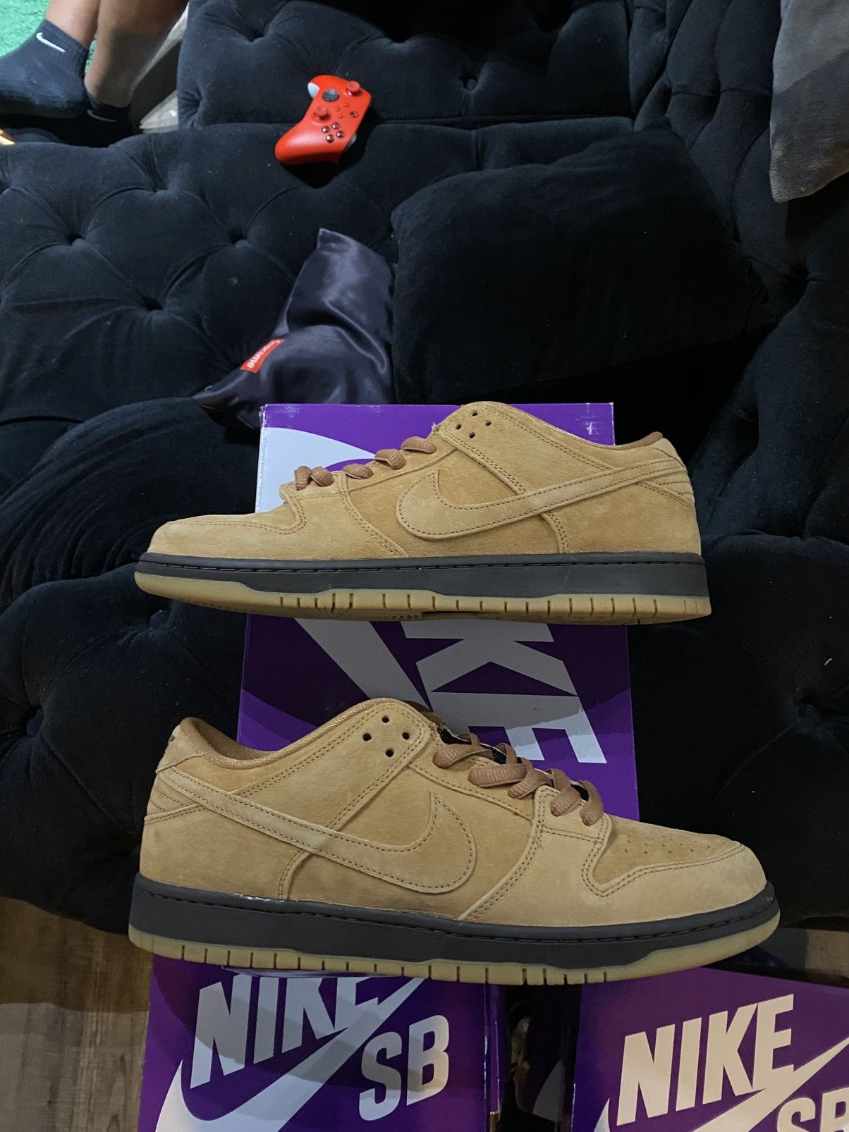 Nike Nike Dunk Low Pro SB 