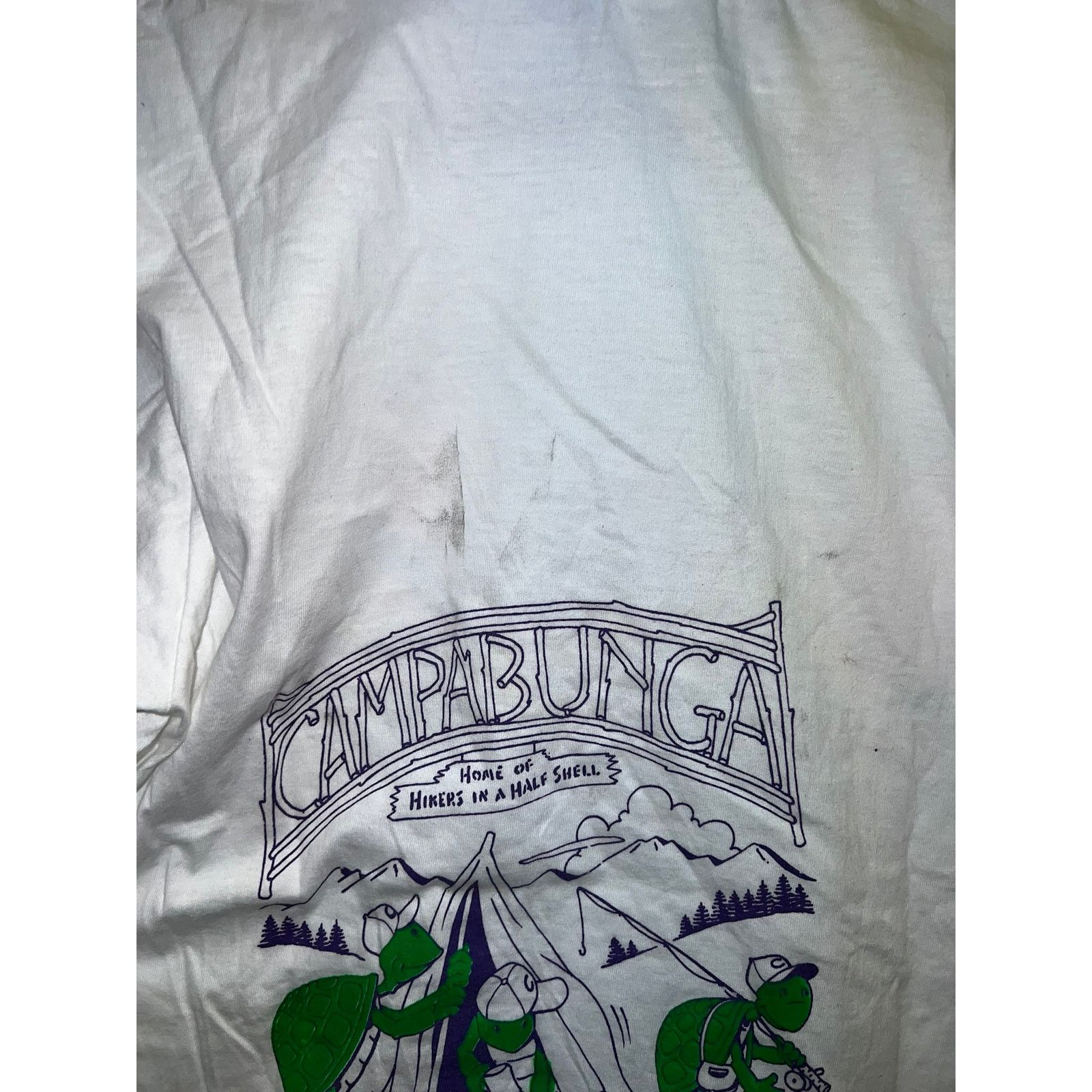 Jerzees Vintage Test Print Shirt Reno Campabunga Turtle Utah Tee 90s Size US M / EU 48-50 / 2 - 8 Thumbnail