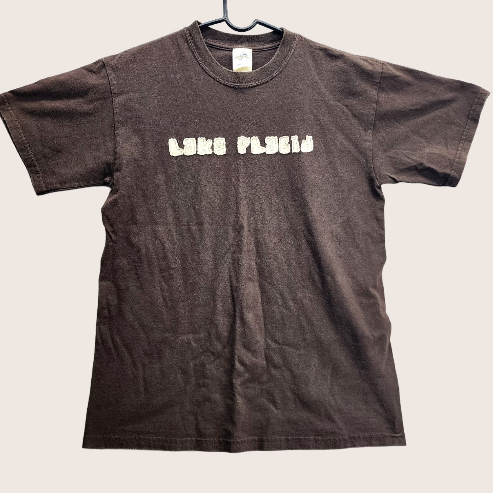Vintage Lake Placid Lake Shirt Men Black T-Shirt M Relaxed Fit Size US M / EU 48-50 / 2 - 1 Thumbnail