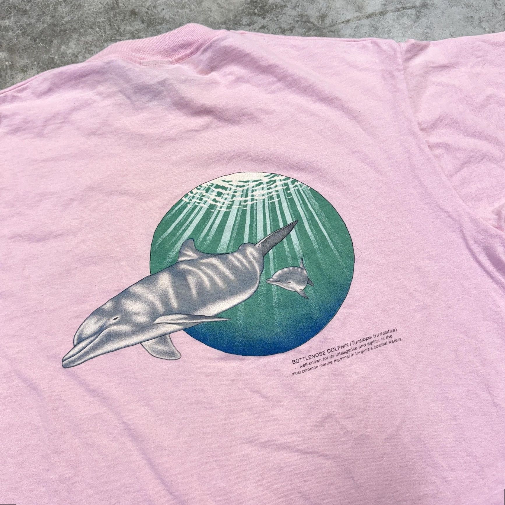 Vintage VINTAGE Virginia Marine Science Museum Shirt Mens XL Pink Dolphin Graphic 90s Size US XL / EU 56 / 4 - 3 Thumbnail