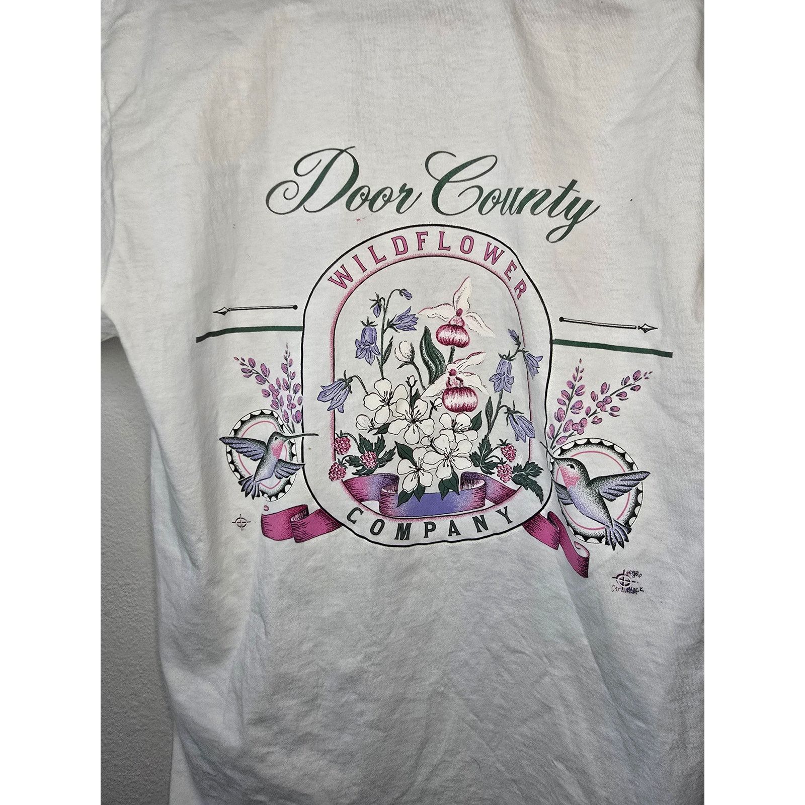 Jerzees × Vintage Vintage Test Print White New Mexico Floral Door Country Tee Size US M / EU 48-50 / 2 - 9 Thumbnail