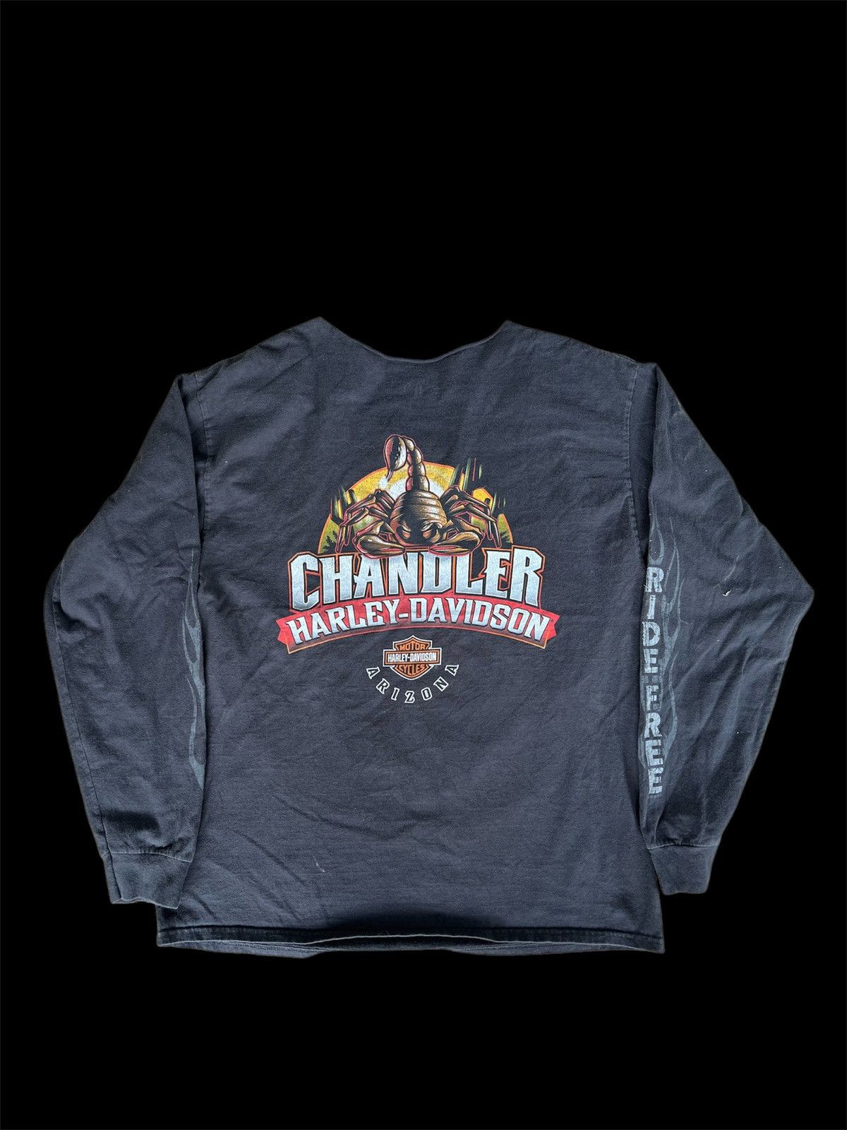 Harley Davidson × Vintage Vintage Y2K Harley Davidson Arizona Size US L / EU 52-54 / 3 - 2 Thumbnail