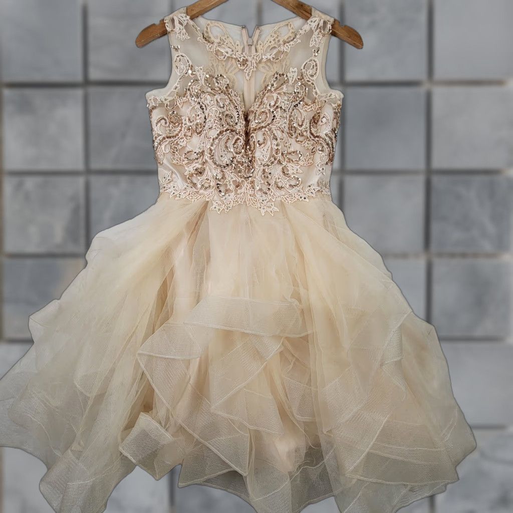DANCER VINTAGE Lets Womens 27 Champagne Formal Dance Prom Lace Dress Shirt Ball Gown Ivory 1980s Womens Dress Prom Eveningwear Feminine 1980s Ladies Cultured Size 4XL / US 24-26 - 1 Thumbnail