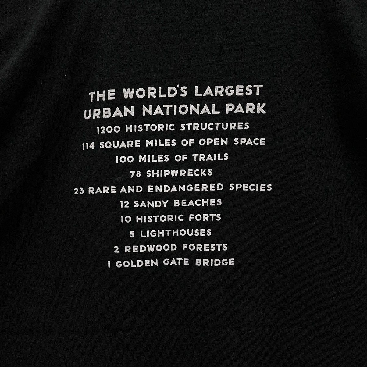 Fruit Of The Loom Vintage 90s National Park Tshirt Size US XL / EU 56 / 4 - 4 Thumbnail