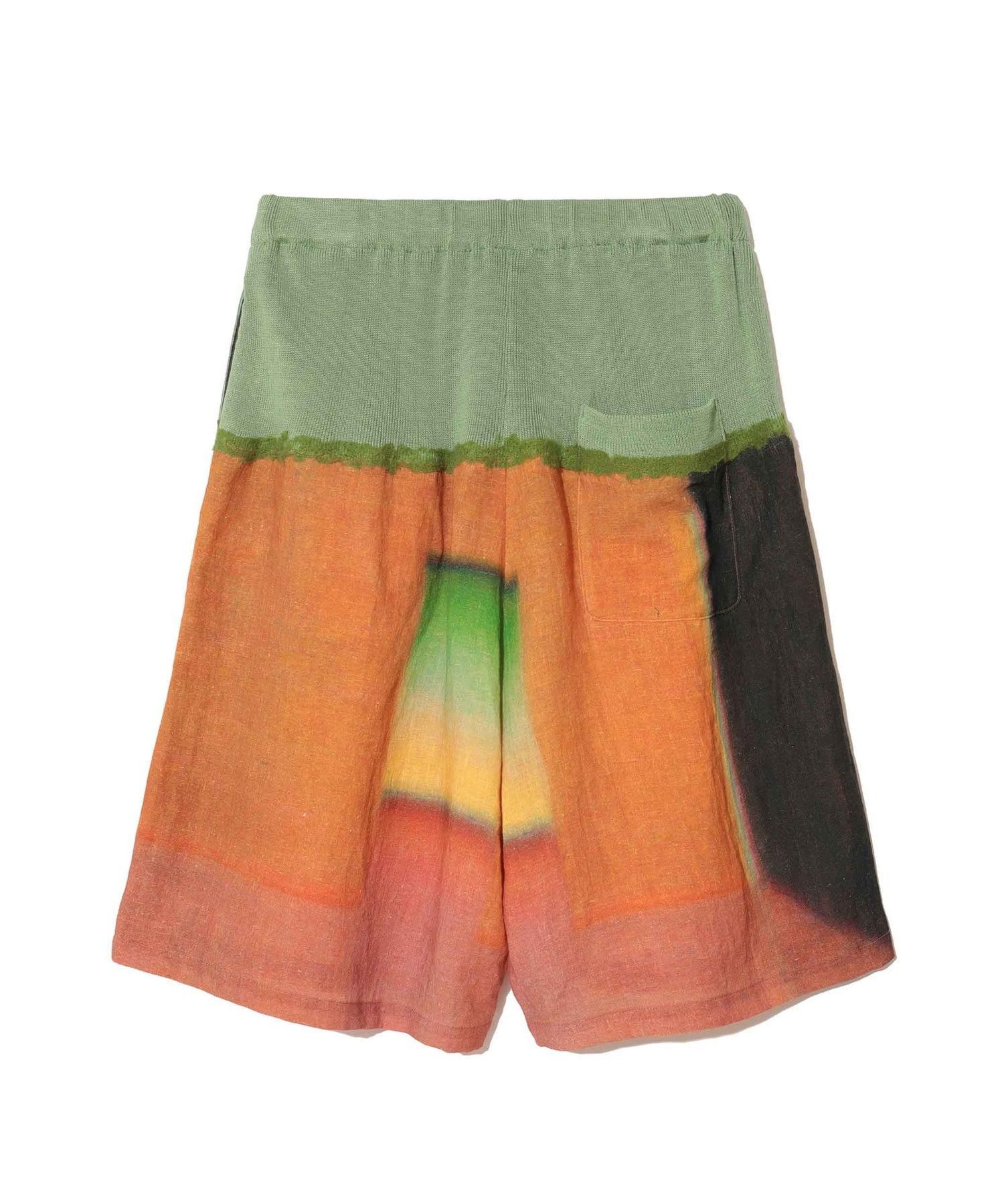 Undercover Undercover Robert Bosisio Painting Shorts Size US 32 / EU 48 - 3 Thumbnail