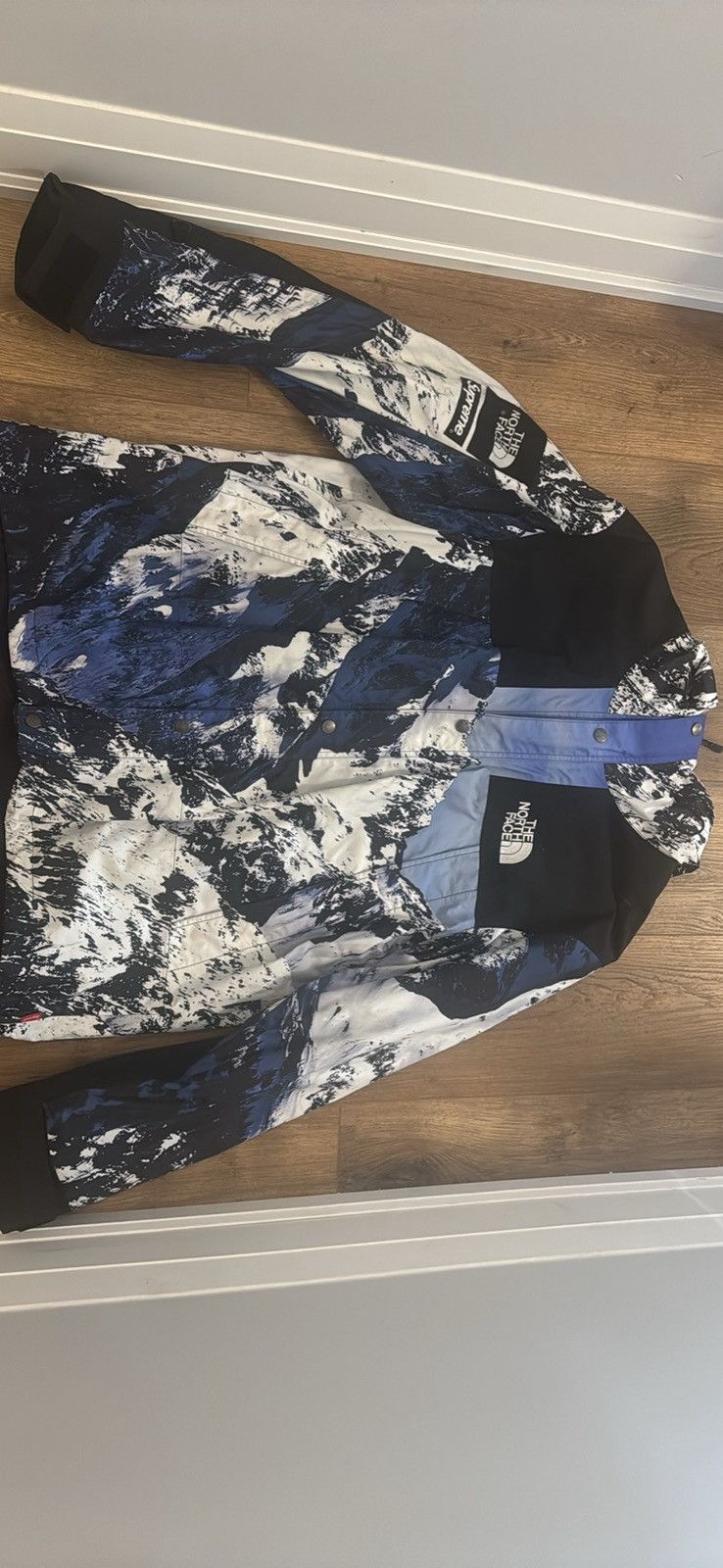 Supreme The North Face Mountain Parka | Grailed