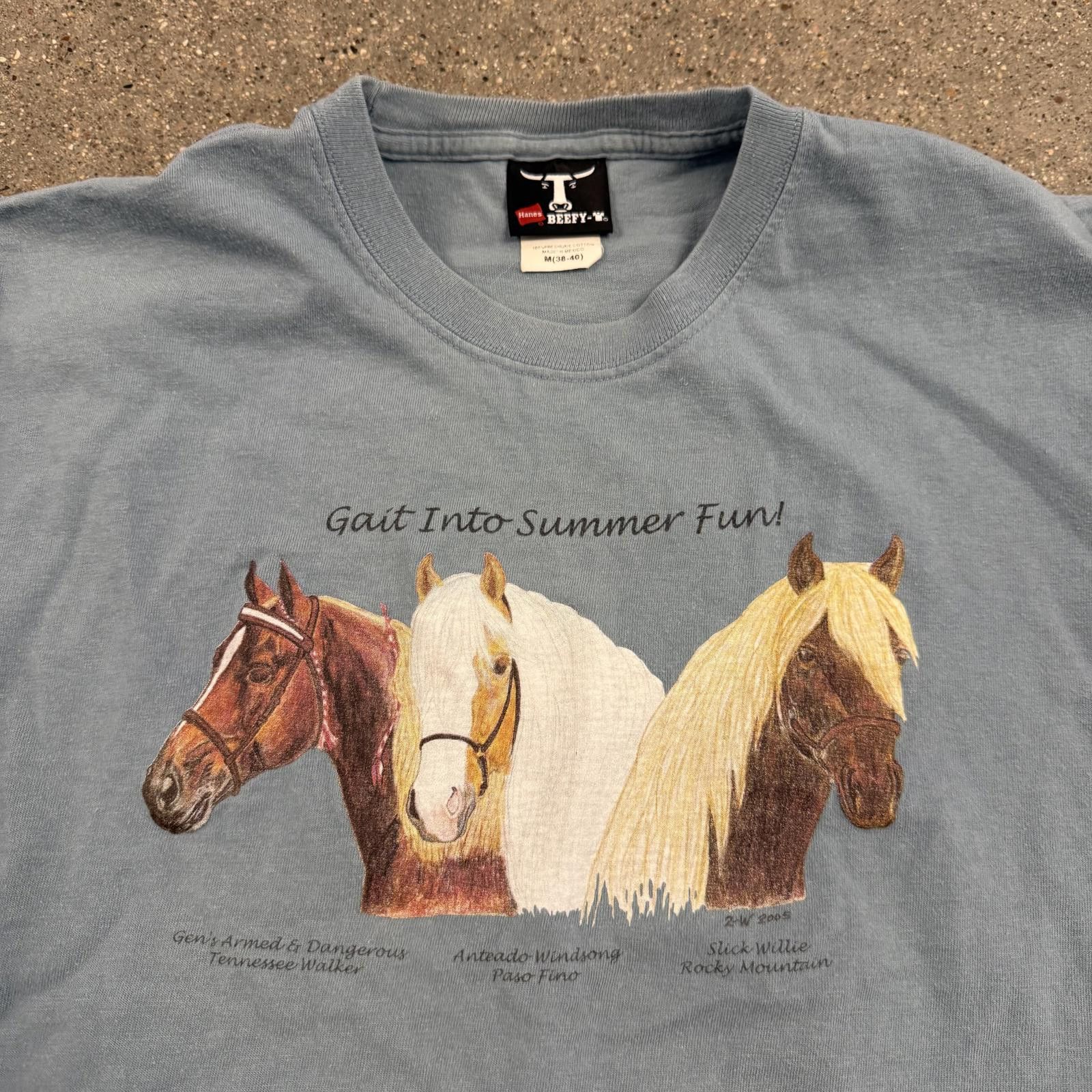 Hanes Vintage Hanes Beefy-T Rocky Mountain Horses Shirt Mens M Size US L / EU 52-54 / 3 - 2 Thumbnail