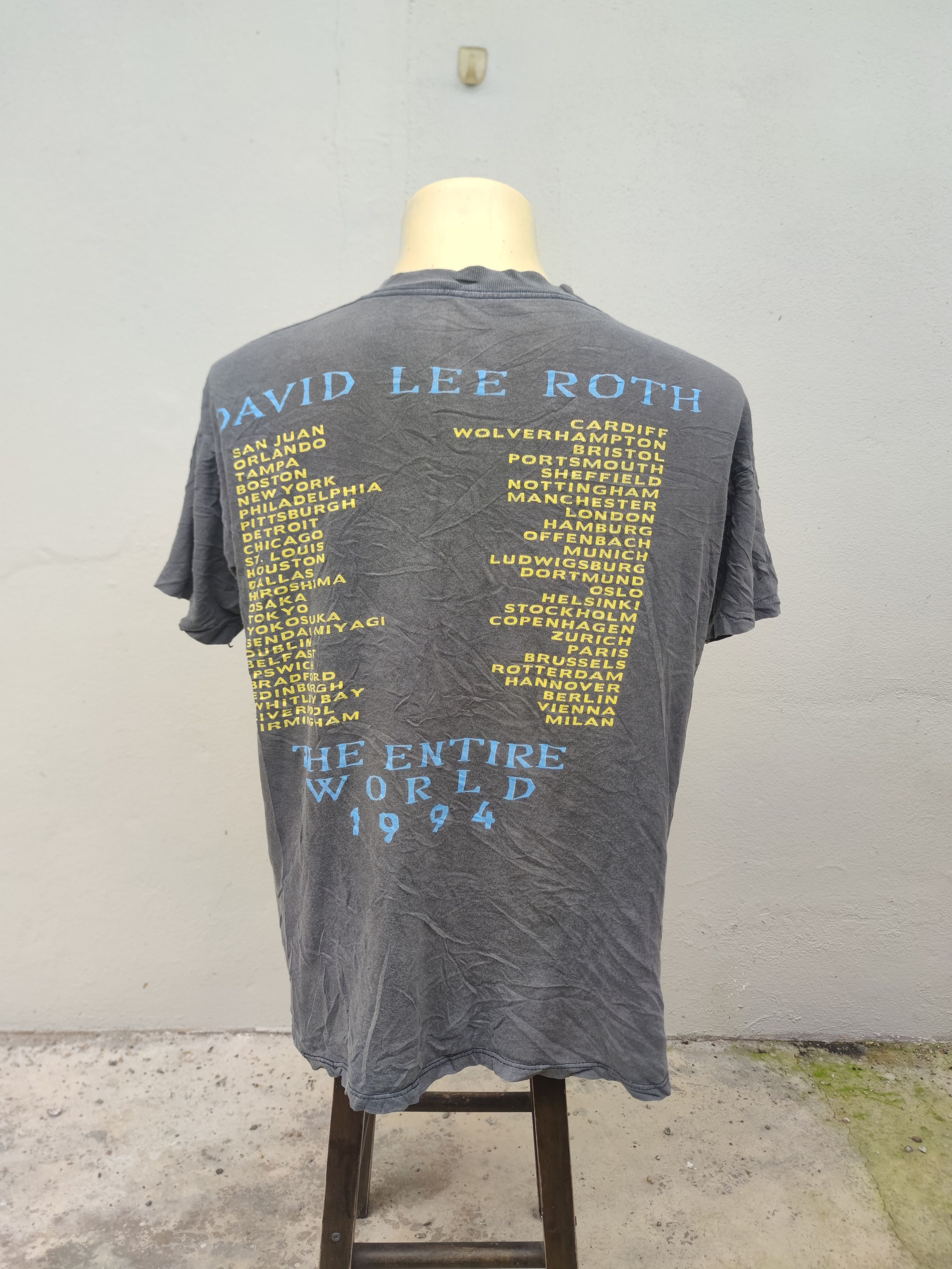 Band Tees Vintage 1994 David Lee Roth The Entire World Tour Tee Size US L / EU 52-54 / 3 - 9 Thumbnail