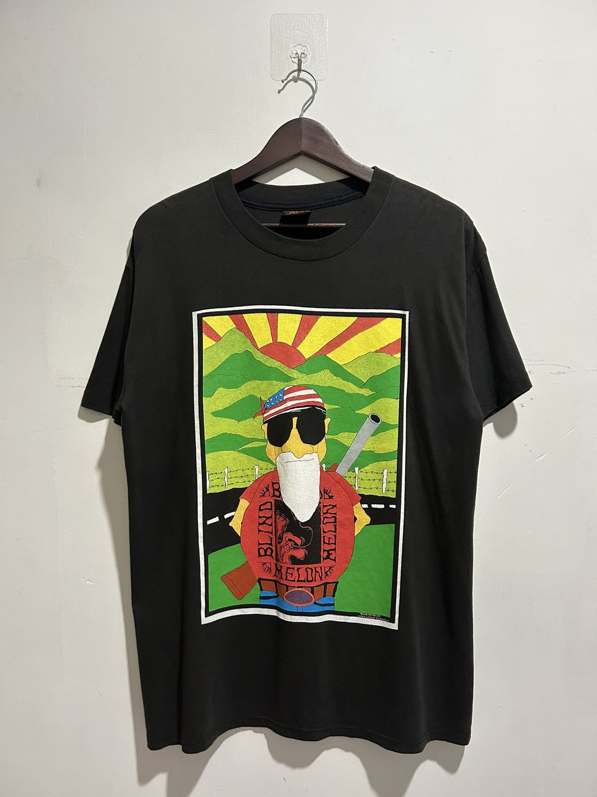 Band Tees Vintage 1993 Blind Melon Grunge Band Tour Tshirt Size US L / EU 52-54 / 3 - 1 Thumbnail