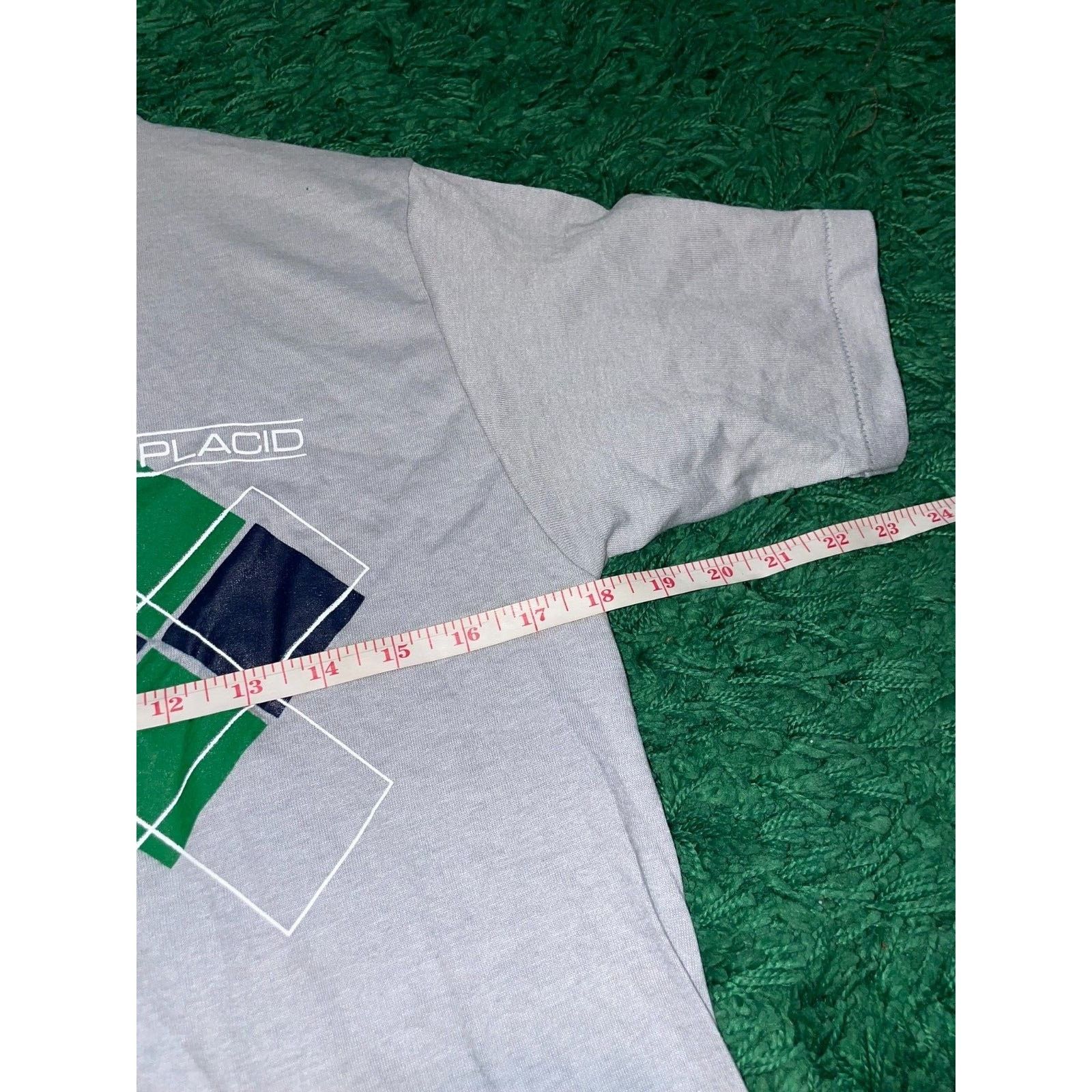 Vintage Vintage Lake Placid Shirt New York Gray Green Tee 80s Medium Size US M / EU 48-50 / 2 - 9 Thumbnail