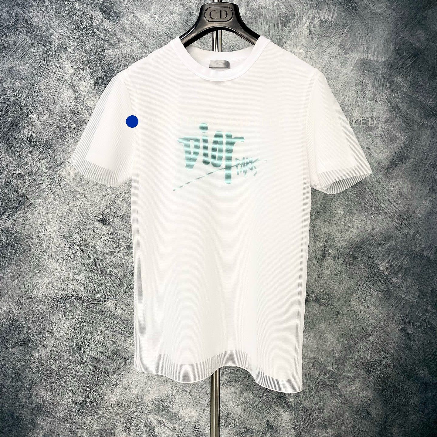 Dior Limited Edition Logo T-Shirt in White Size US XS / EU 42 / 0 - 1 Thumbnail