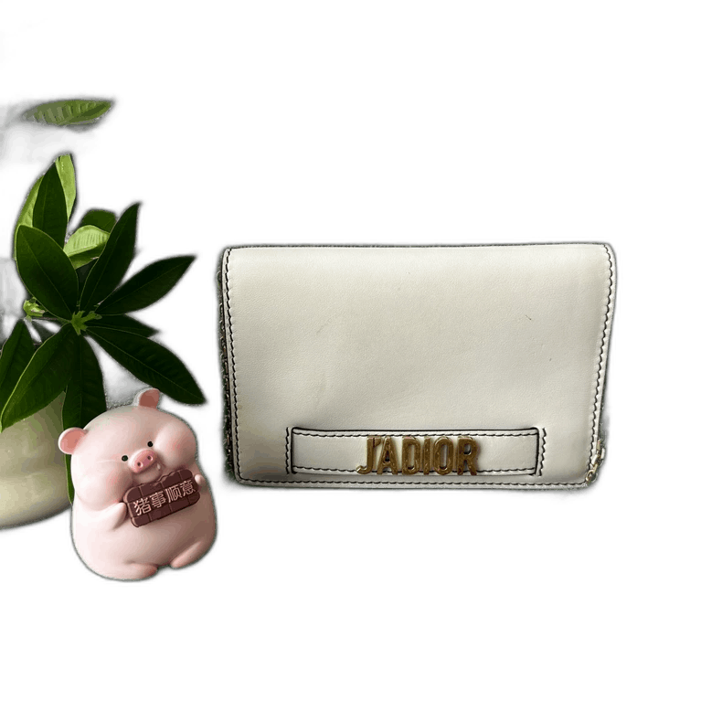 Dior Dior Chain Shoulder Bag with Metal Logo-2505 Size ONE SIZE - 1 Thumbnail