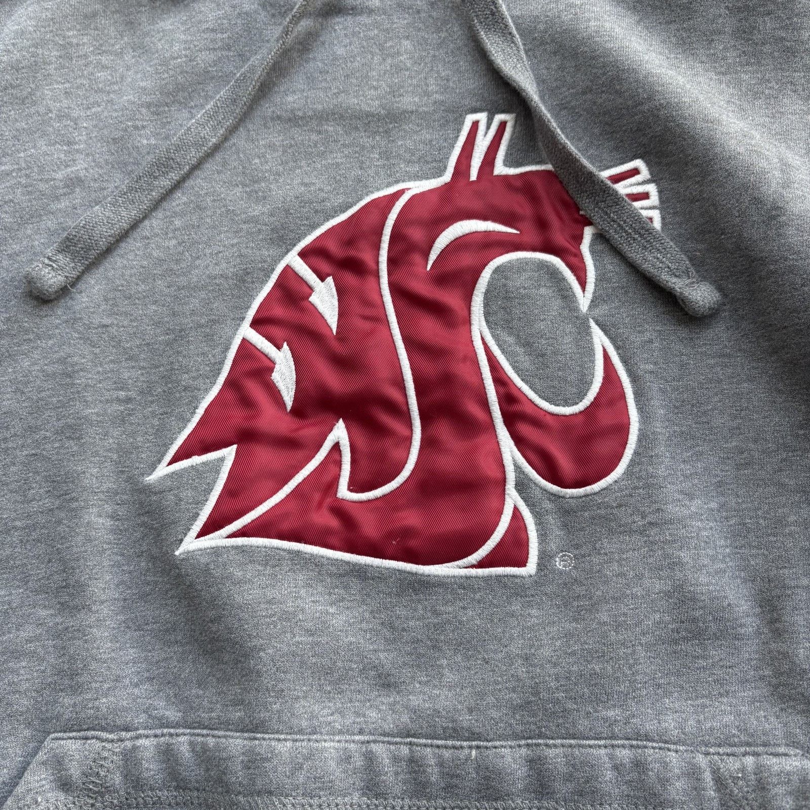 Champion Champion WSU Cougars Hoodie Mens M Gray Pullover Kangaroo Size US M / EU 48-50 / 2 - 2 Thumbnail