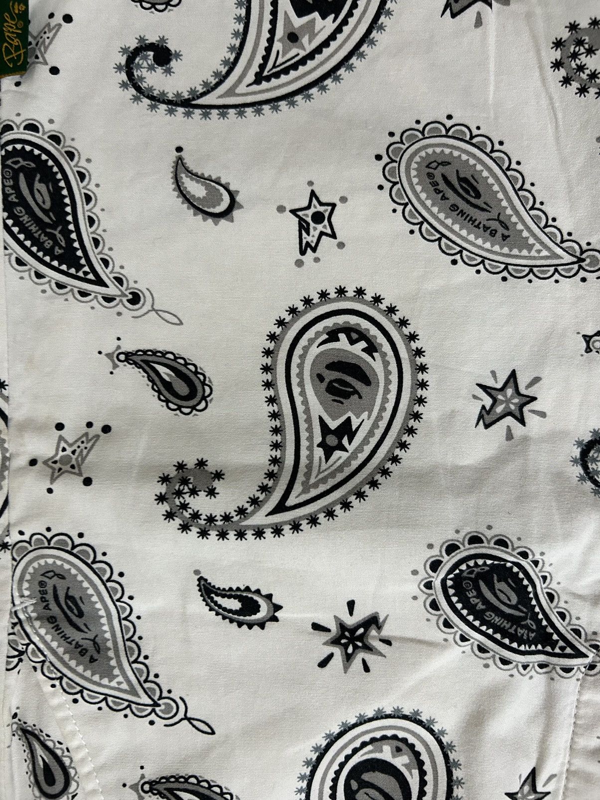 Bape Paisley Shorts Size US 31 - 4 Thumbnail