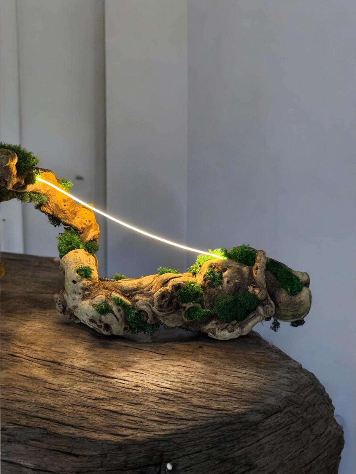 Other Driftwood, Original Grapevine Sculpture Lamp Preserved Moss Size ONE SIZE - 1 Thumbnail