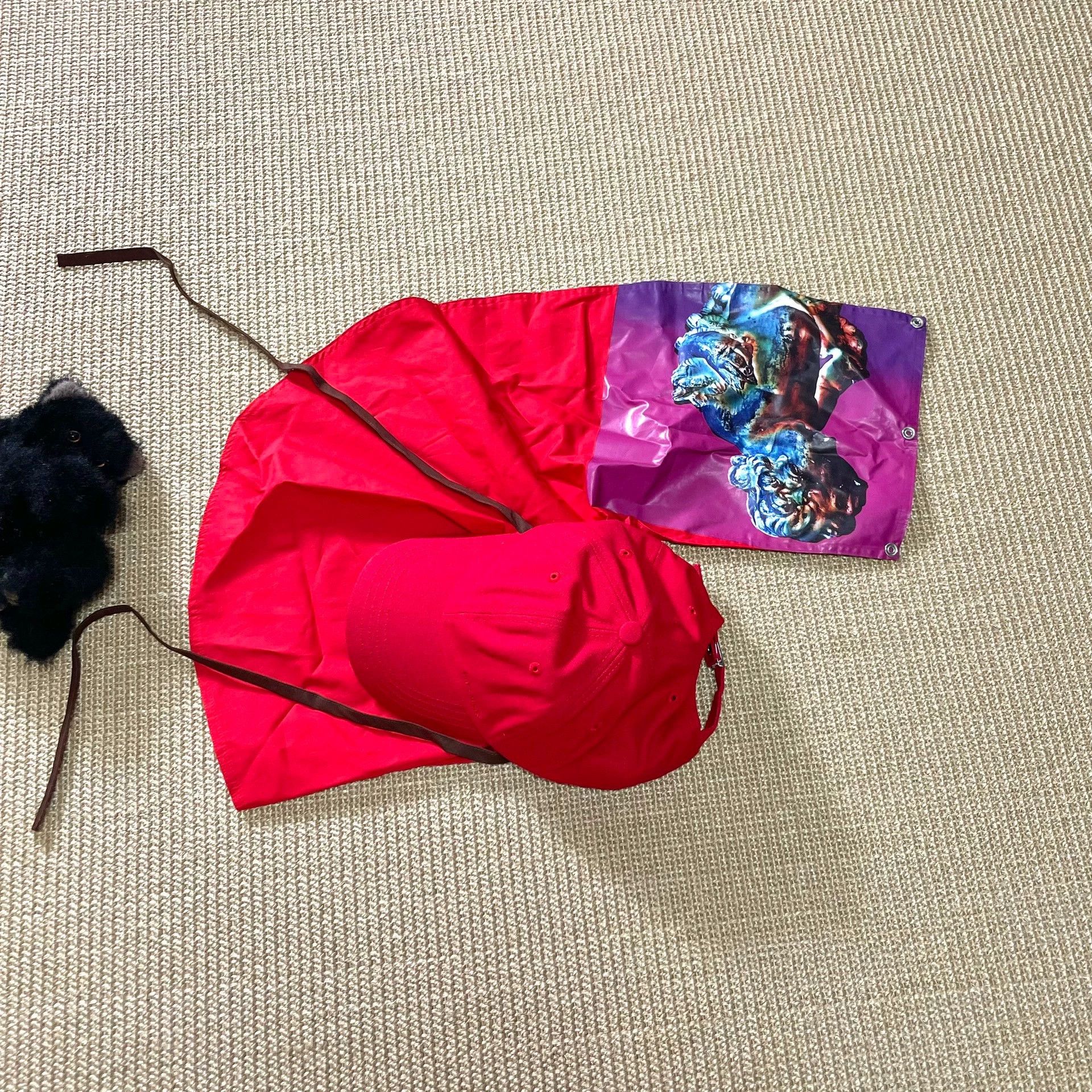 Raf Simons 18SS joy Happy Split Biebu Cap