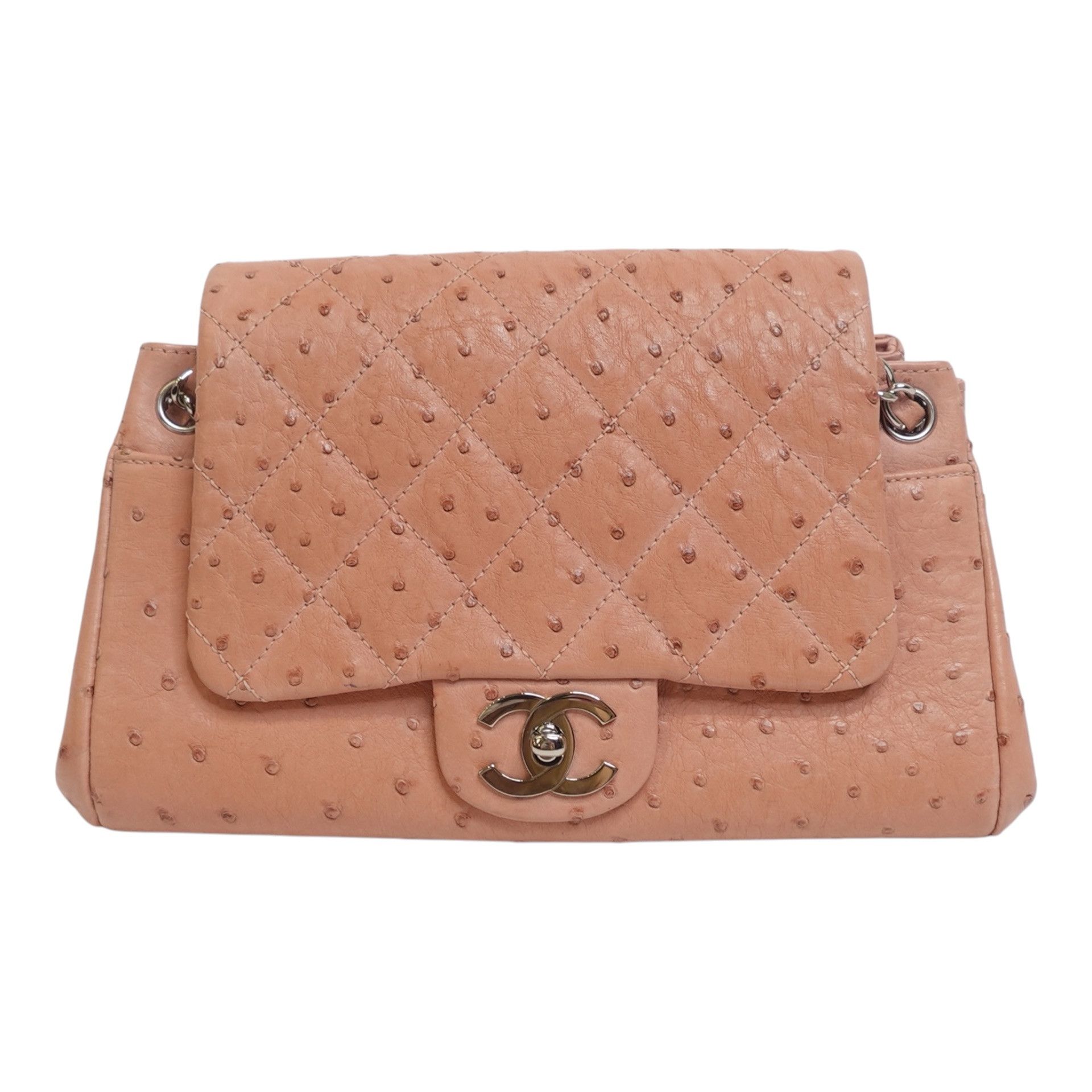 Chanel Chanel Ostrich Accordion Flap Bag Size ONE SIZE - 1 Thumbnail