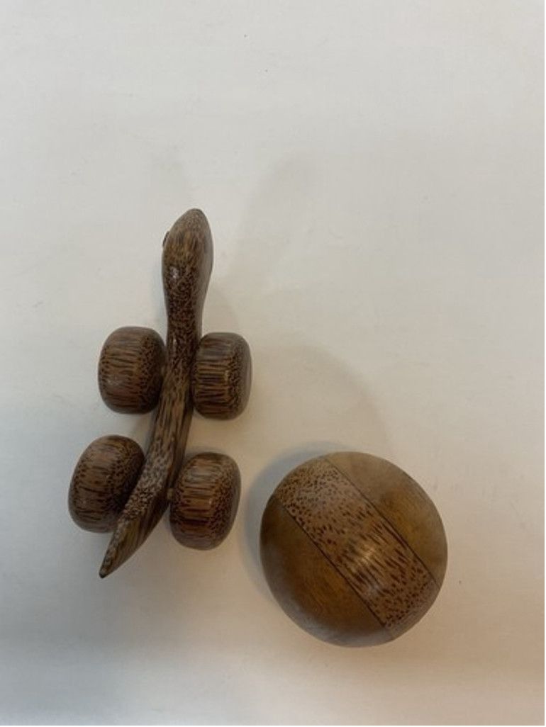 Other Turtle Push Toy Educational Toyon Wheels Rolling BallOn Top Size ONE SIZE - 6 Thumbnail