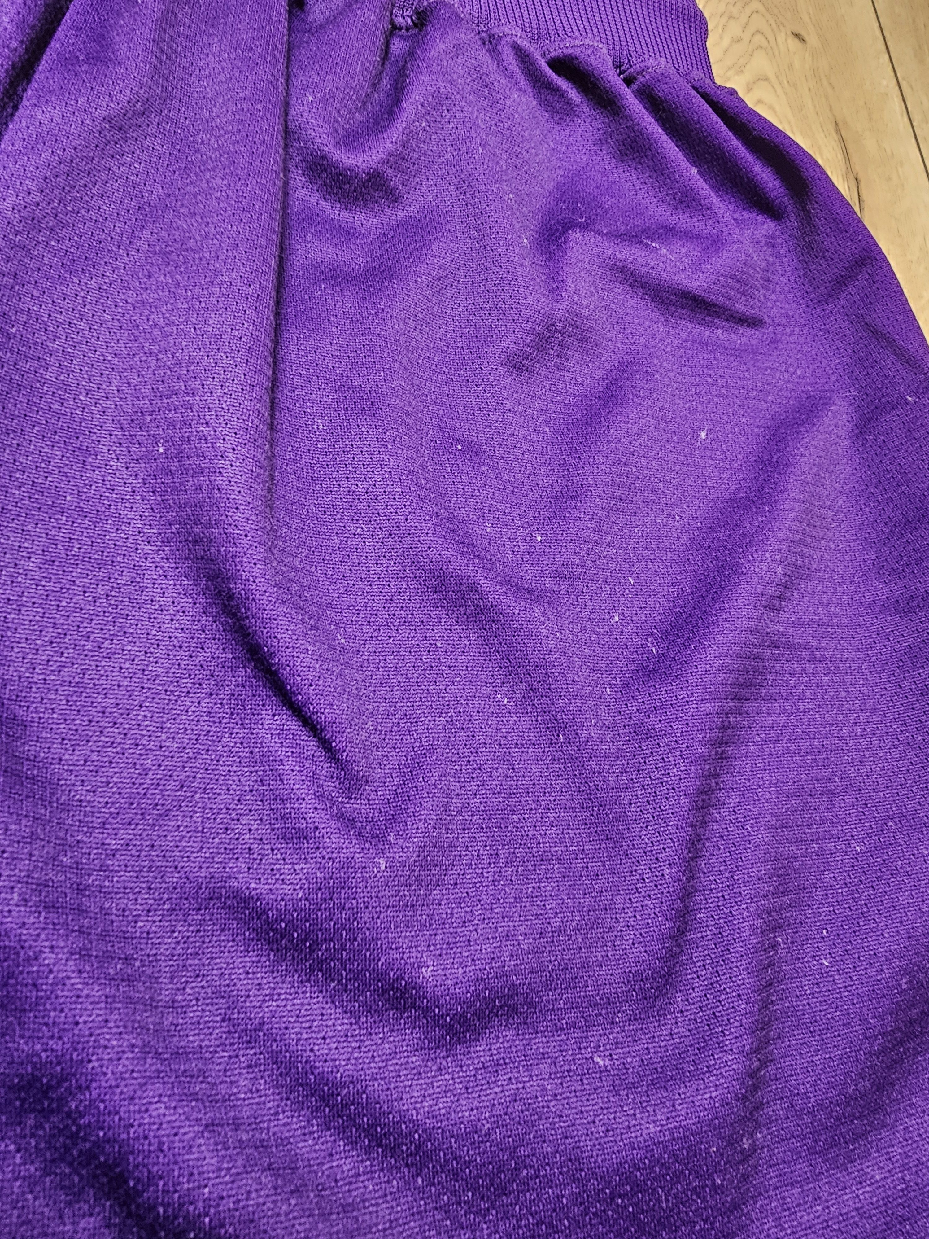 Champion CHARLOTTE HORNETS SHORTS CHAMPION 1994 BASKETBALL SHORTS NBA Size US 36 / EU 52 - 8 Thumbnail