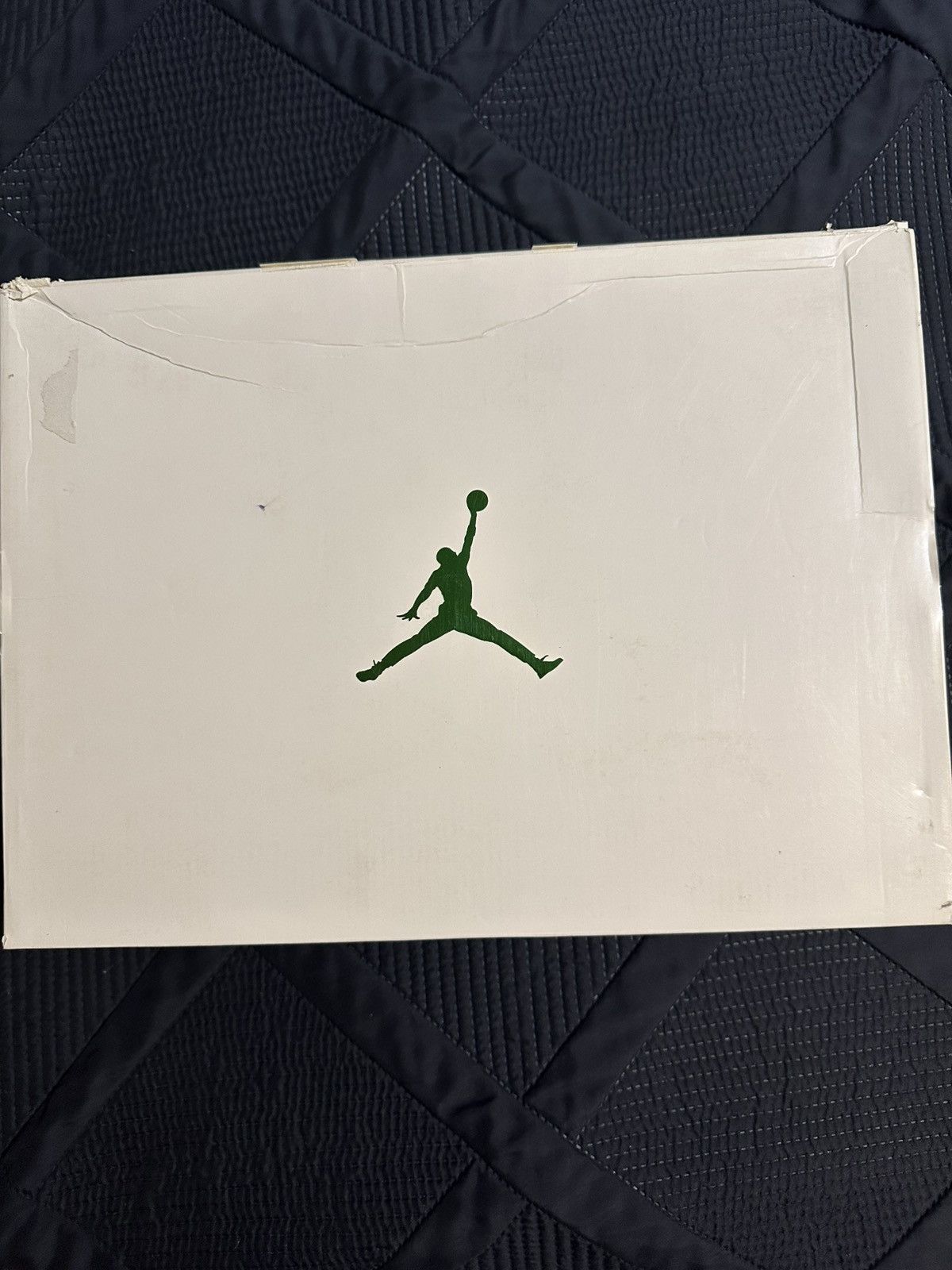 Air Jordan 4 “Metallic Green” (2020)