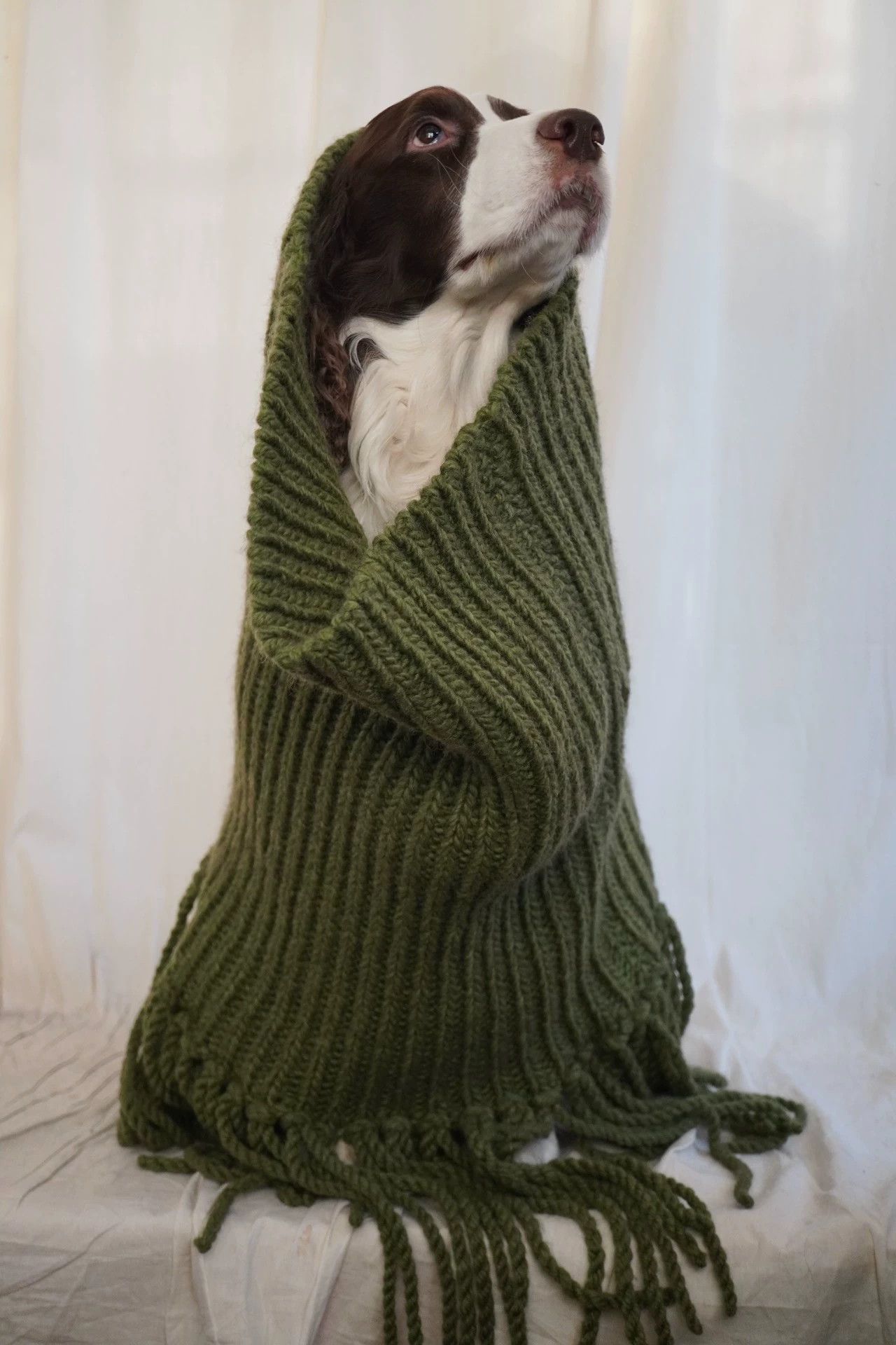 Other zooSelect Hand-Knit Bulky Fringed Cowl Snake Green Size ONE SIZE - 5 Thumbnail