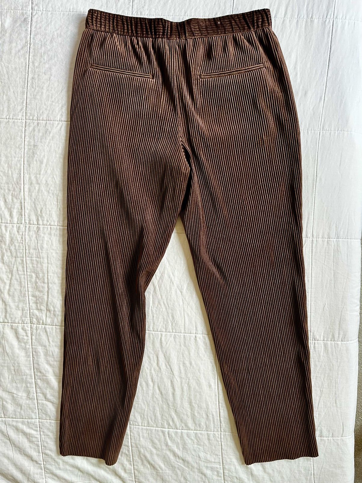 Zara Brown Pleated Pants Size US 32 / EU 48 - 2 Thumbnail
