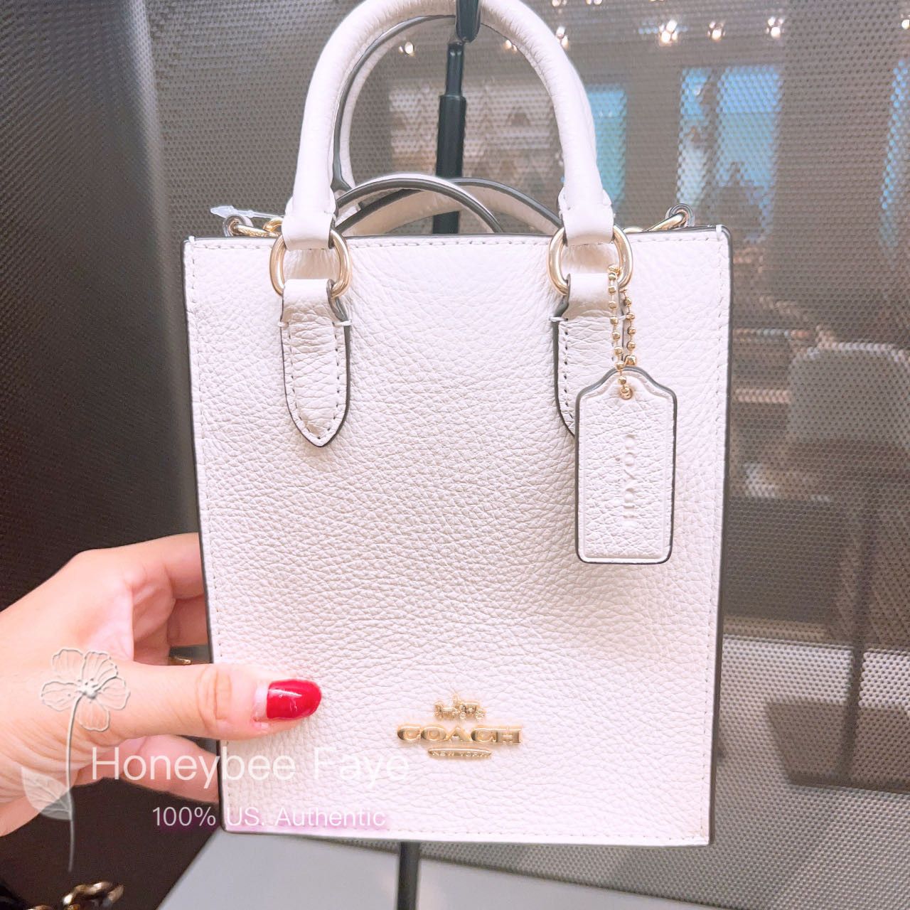 NWT Coach North South Mini Tote CJ500