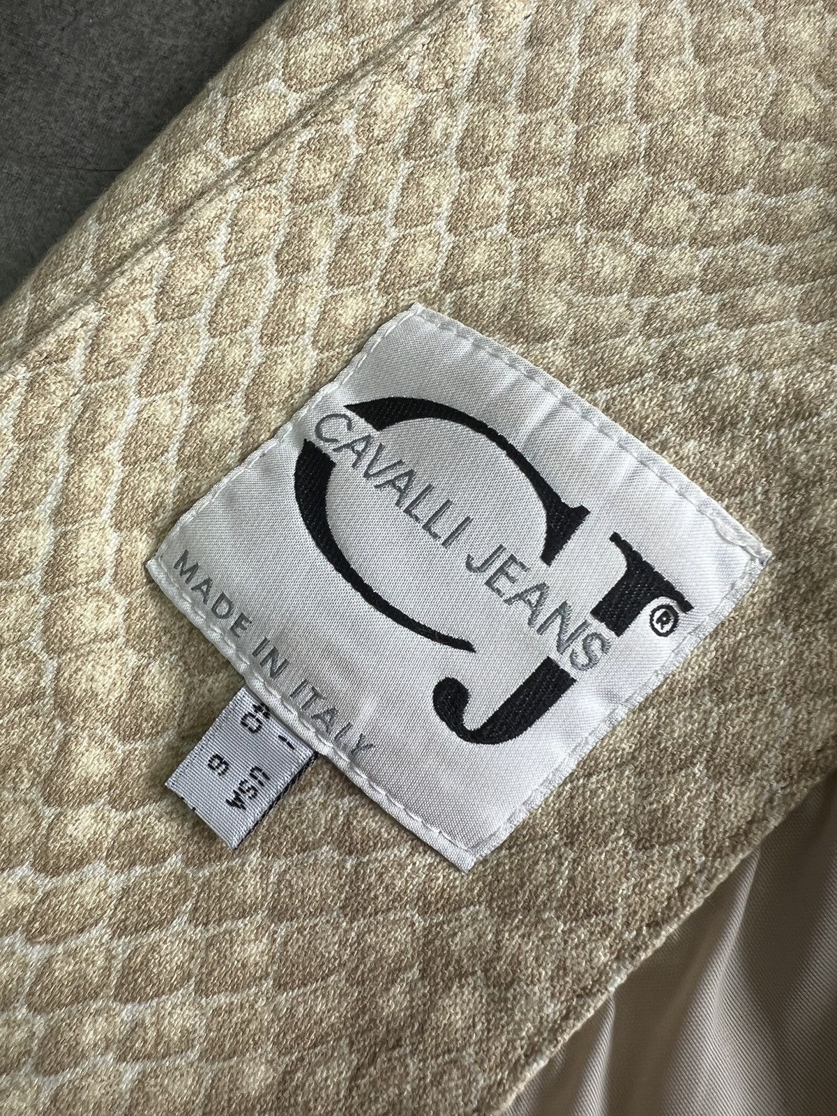 Roberto Cavalli ARCHIVE ROBERTO CAVALLI SNAKE SKIN SUIT BLAZER AND PANTS Size S / US 4 / IT 40 - 16 Thumbnail