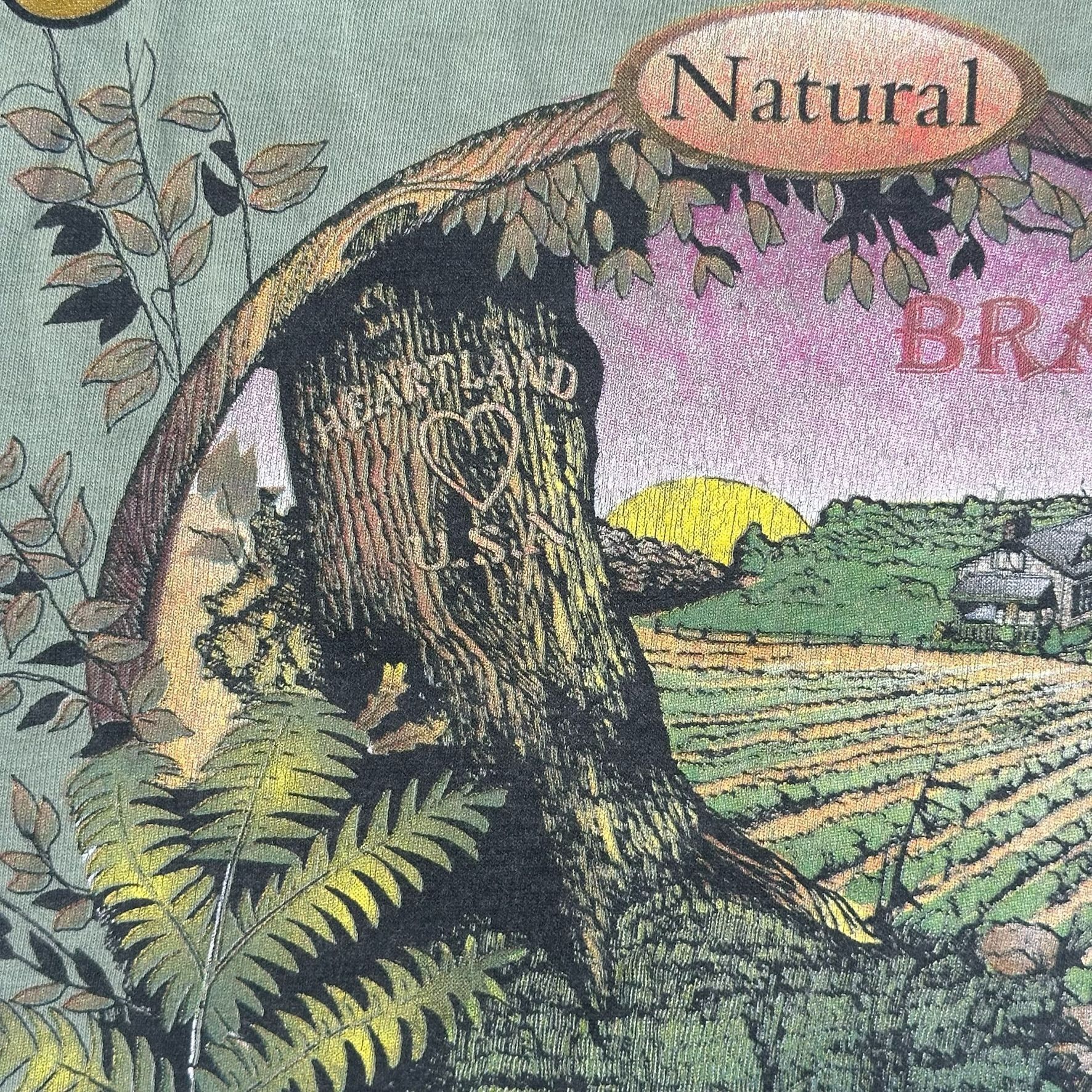 Vintage Vintage 90s Cochranton Pennsylvania Landscape T-Shirt Green Size US L / EU 52-54 / 3 - 3 Thumbnail