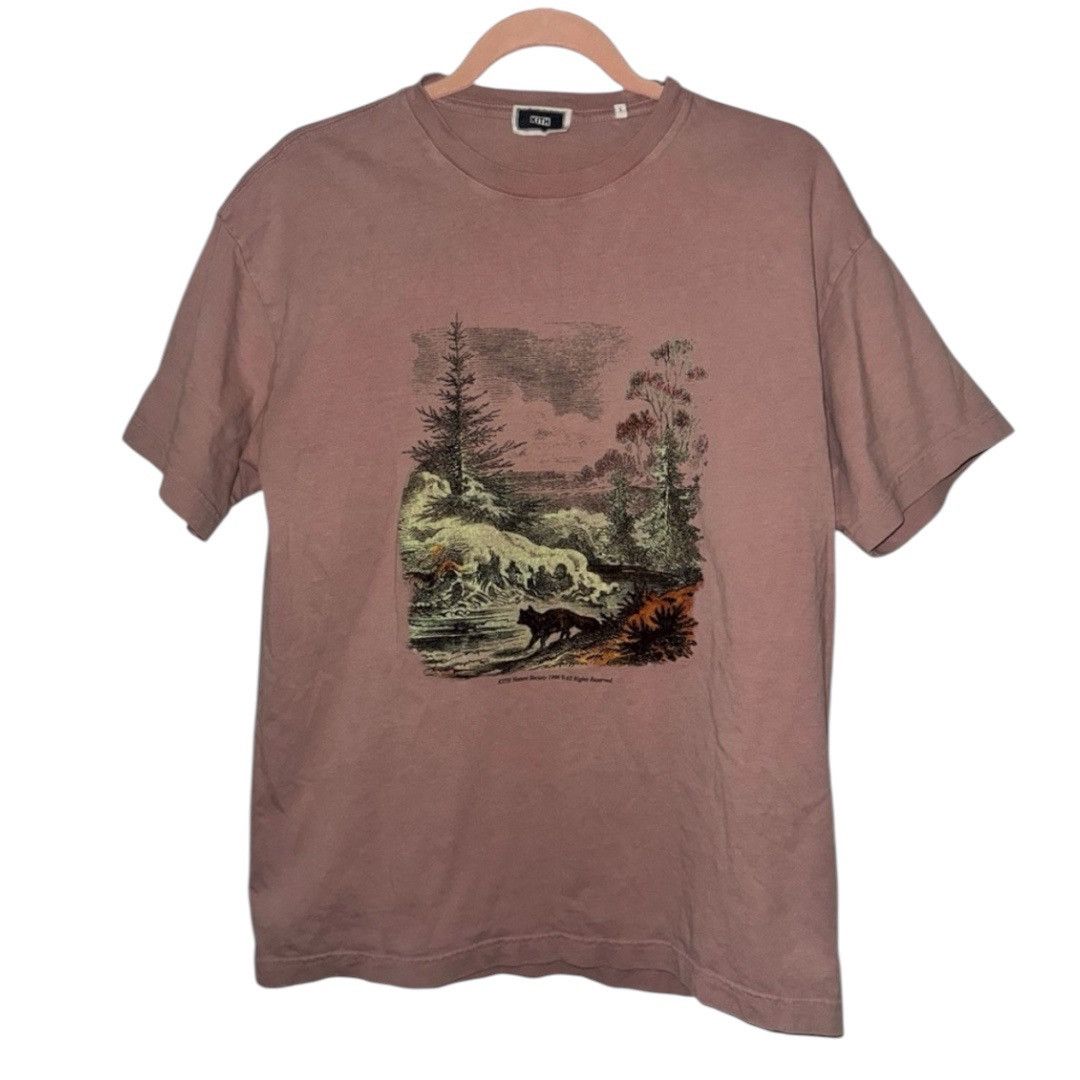 Kith Kith Nature Society Vintage Tee in 'Dusty Quartz Size Small Size US S / EU 44-46 / 1 - 1 Thumbnail