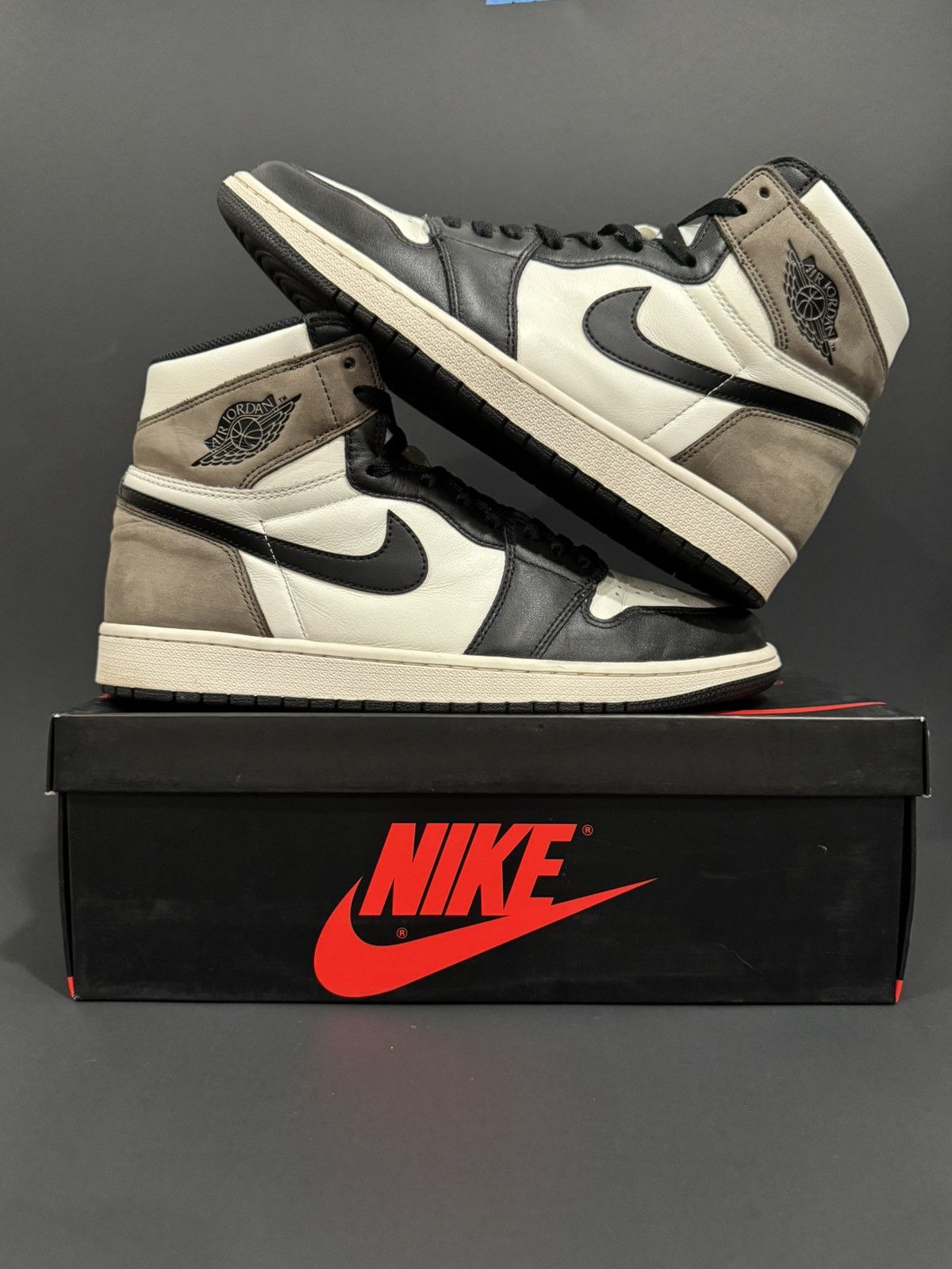 Nike Air Jordan High 'Mocha' Size 12