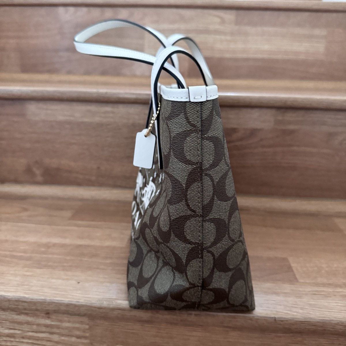 Coach coach mini city tote in signature canvas with horse grailed