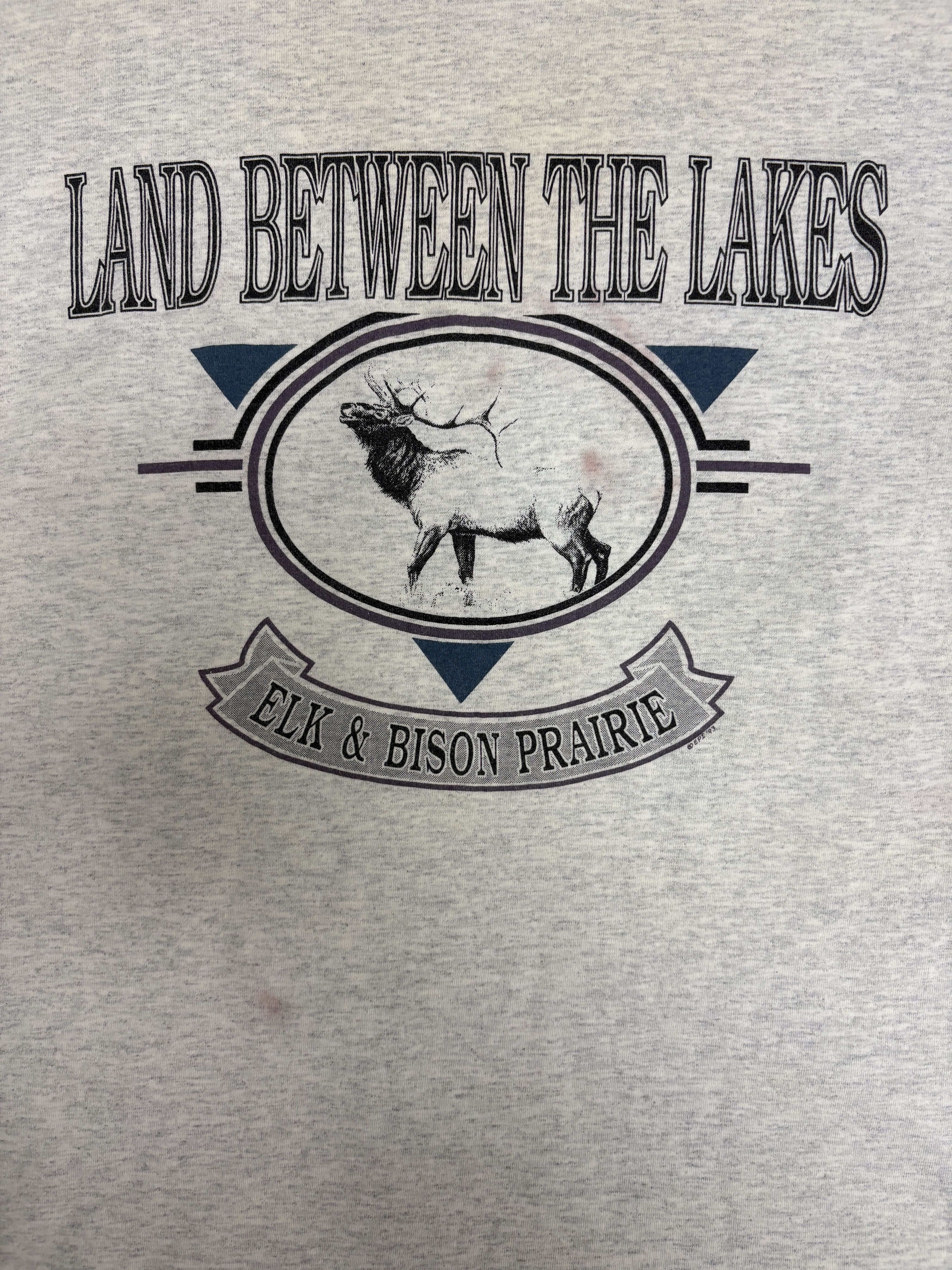 Vintage Elk & Bison Prairie, Kentucky Vintage Grey T-Shirt Tee Size US M / EU 48-50 / 2 - 2 Thumbnail