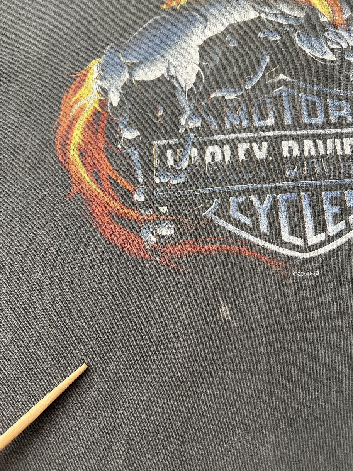 Harley Davidson Vintage 2001 Harley Davidson Fire Horse Flame Daytona Tshirt Size US M / EU 48-50 / 2 - 6 Thumbnail
