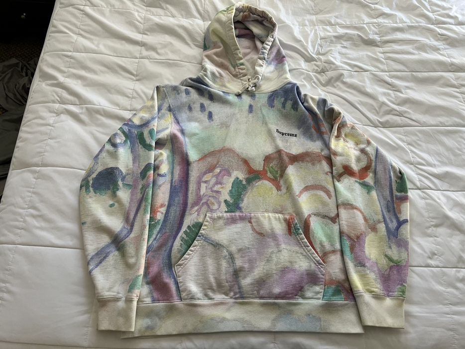 Supreme landscape hoodie on sale fake