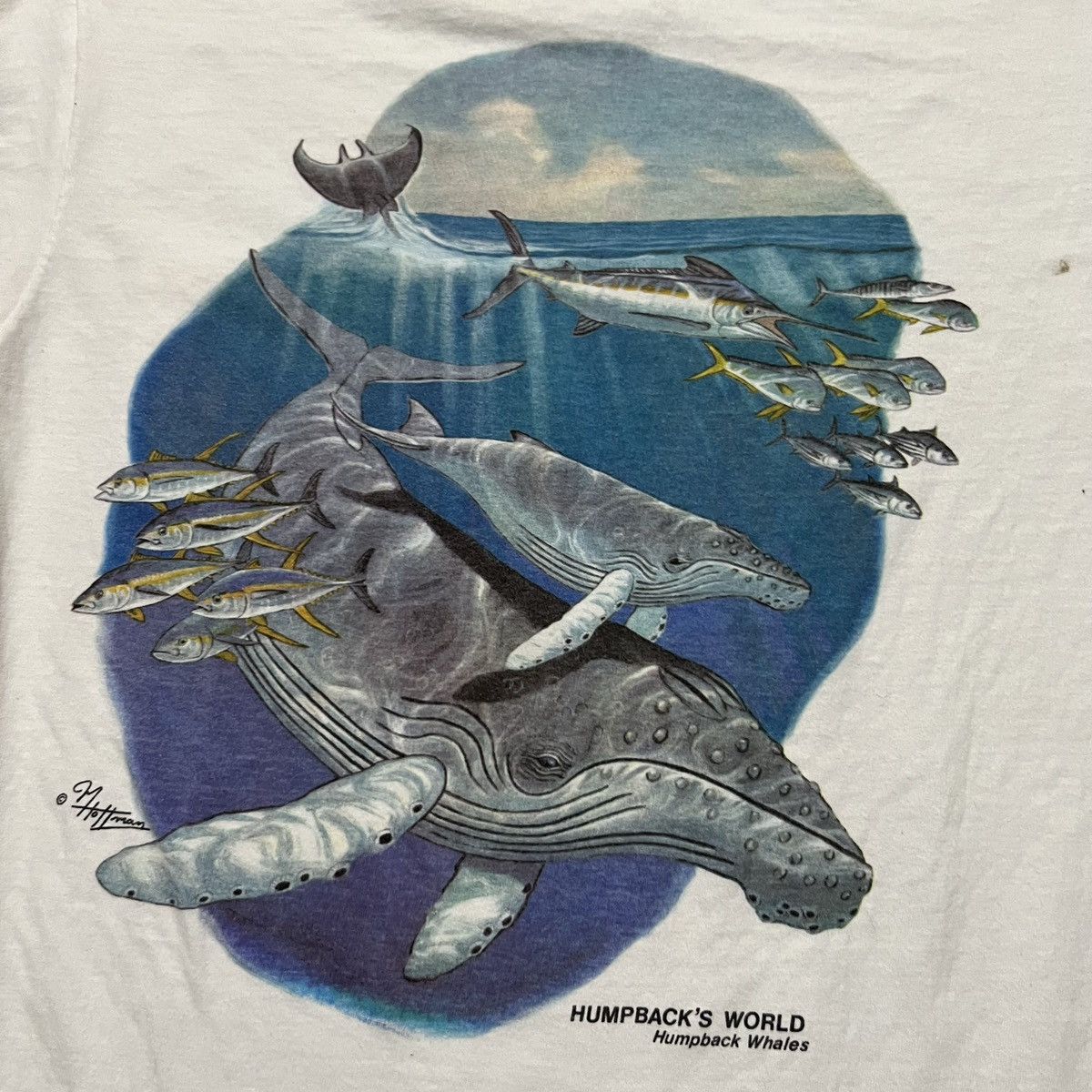 Hanes VTG M Hoffman 1980s Humpbacks World Whales Ocean Art Shirt Size US L / EU 52-54 / 3 - 3 Thumbnail