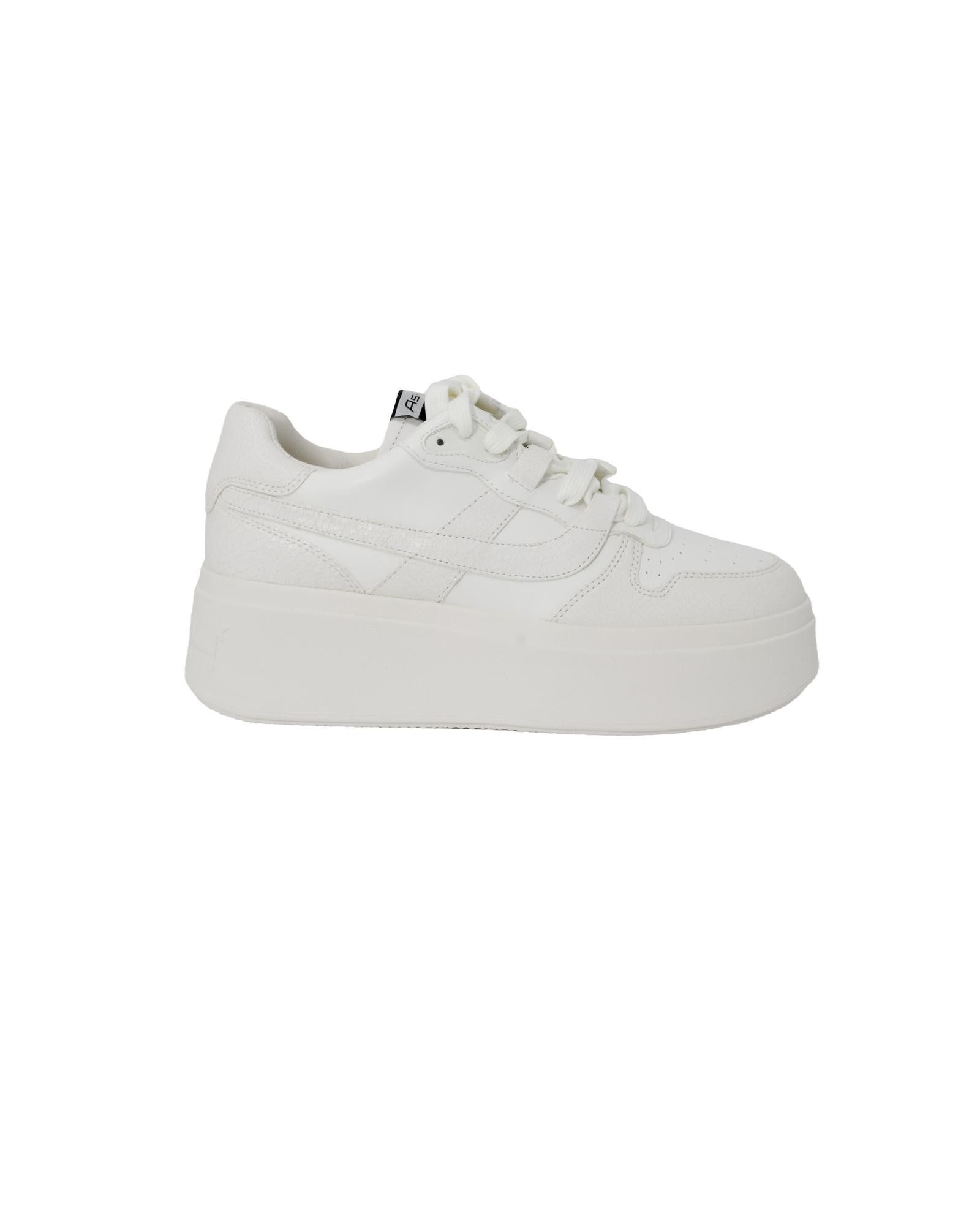 image of Ash Lace-Up Leather Sneakers in White, Women's (Size 9)