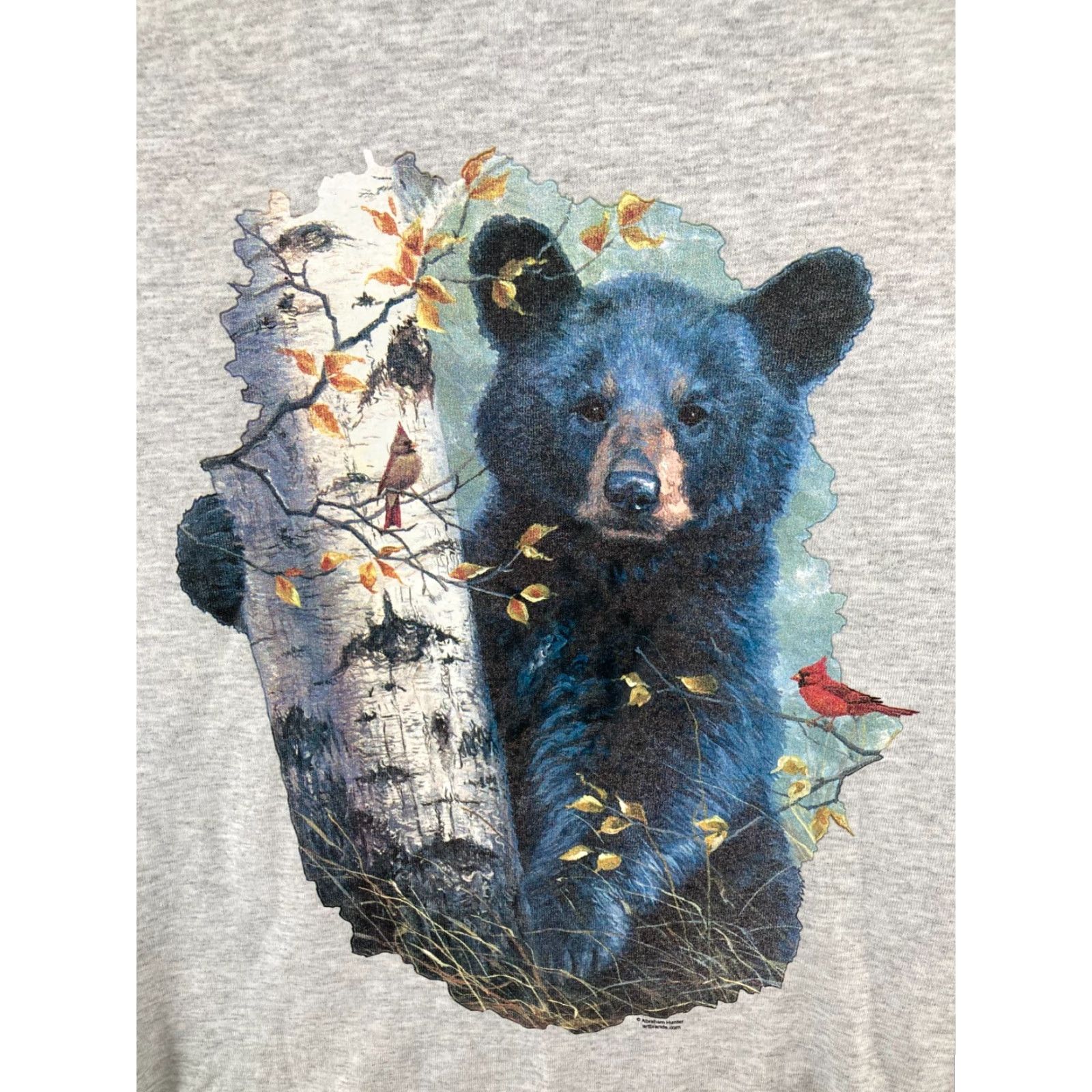 Jerzees Abraham Hunter Mens TShirt Small Gray Black Bear Cardinal Size US S / EU 44-46 / 1 - 2 Thumbnail