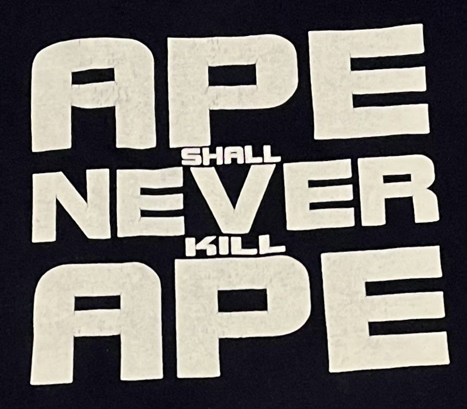 Bape Bape reversible crew neck pullover sweatshirt Size US M / EU 48-50 / 2 - 10 Thumbnail