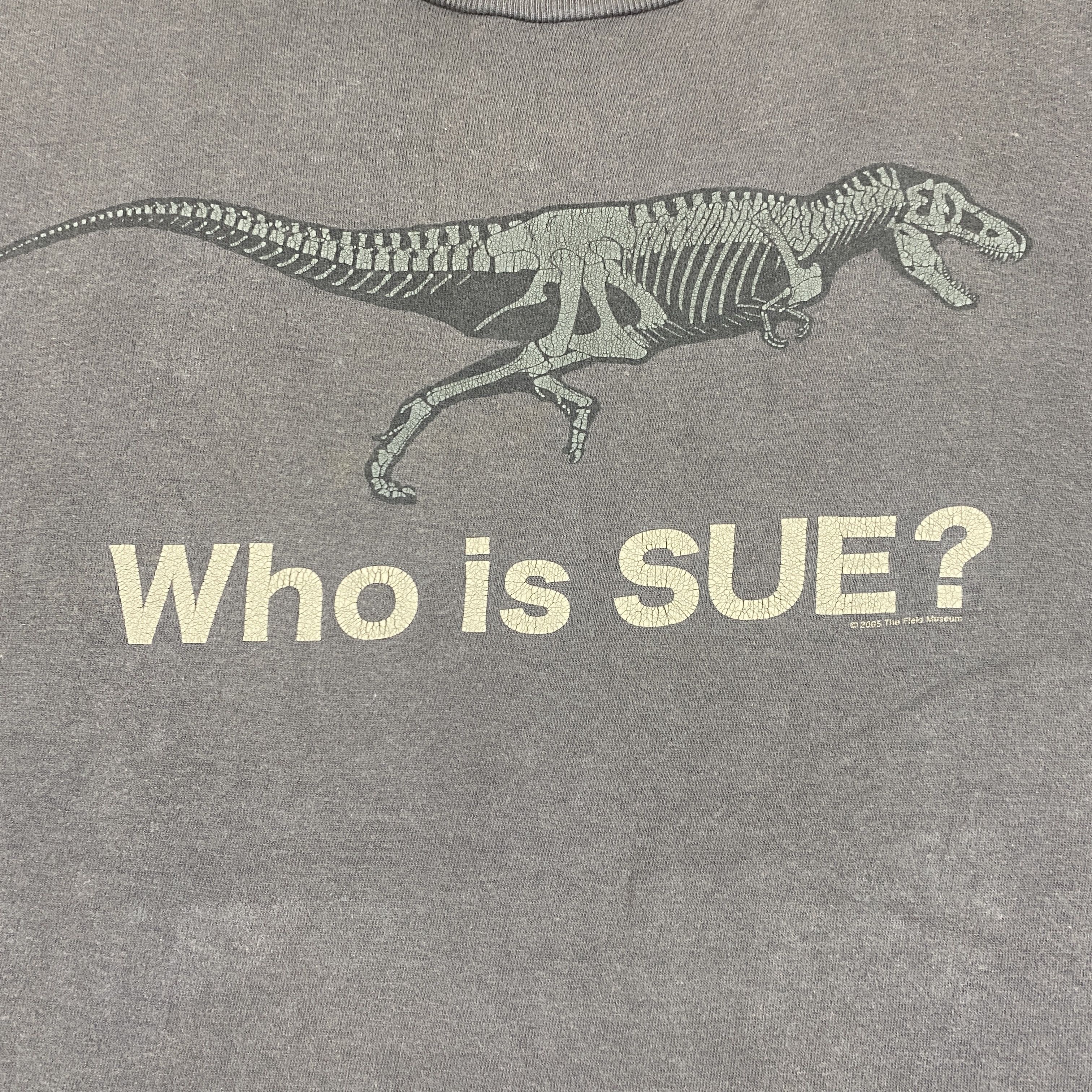 Vintage Vintage 2005 T.Rex A Name Sue Tshirt -D022 Size US L / EU 52-54 / 3 - 3 Thumbnail