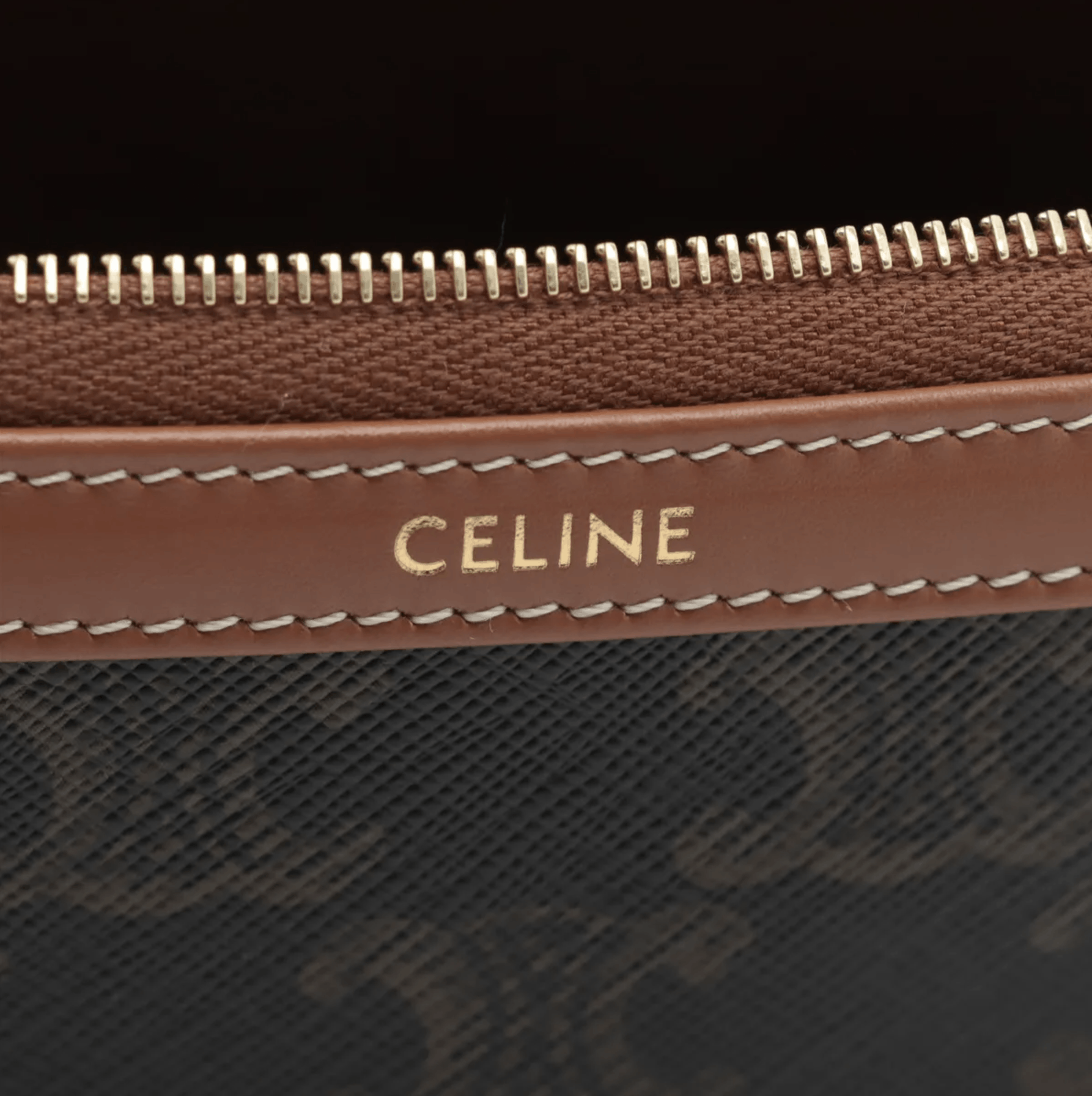Celine Triomphe Canvas Leather Pouch Brown, Multicolor