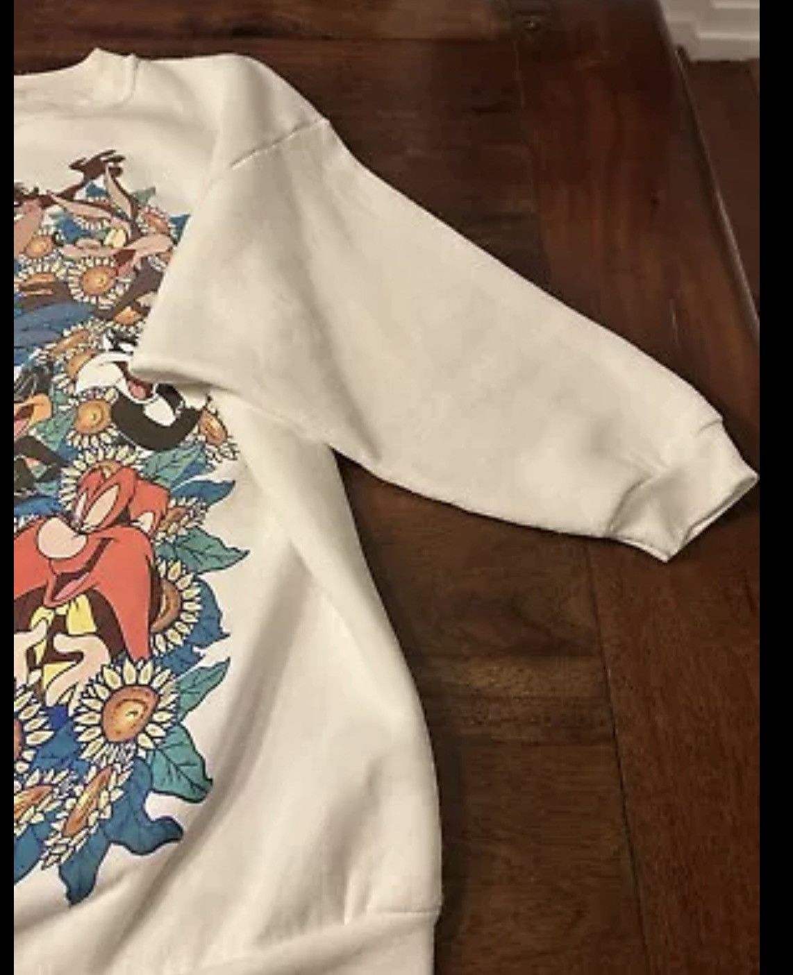 Vintage 1997 Looney Toons y2k Sweatshirt RARE